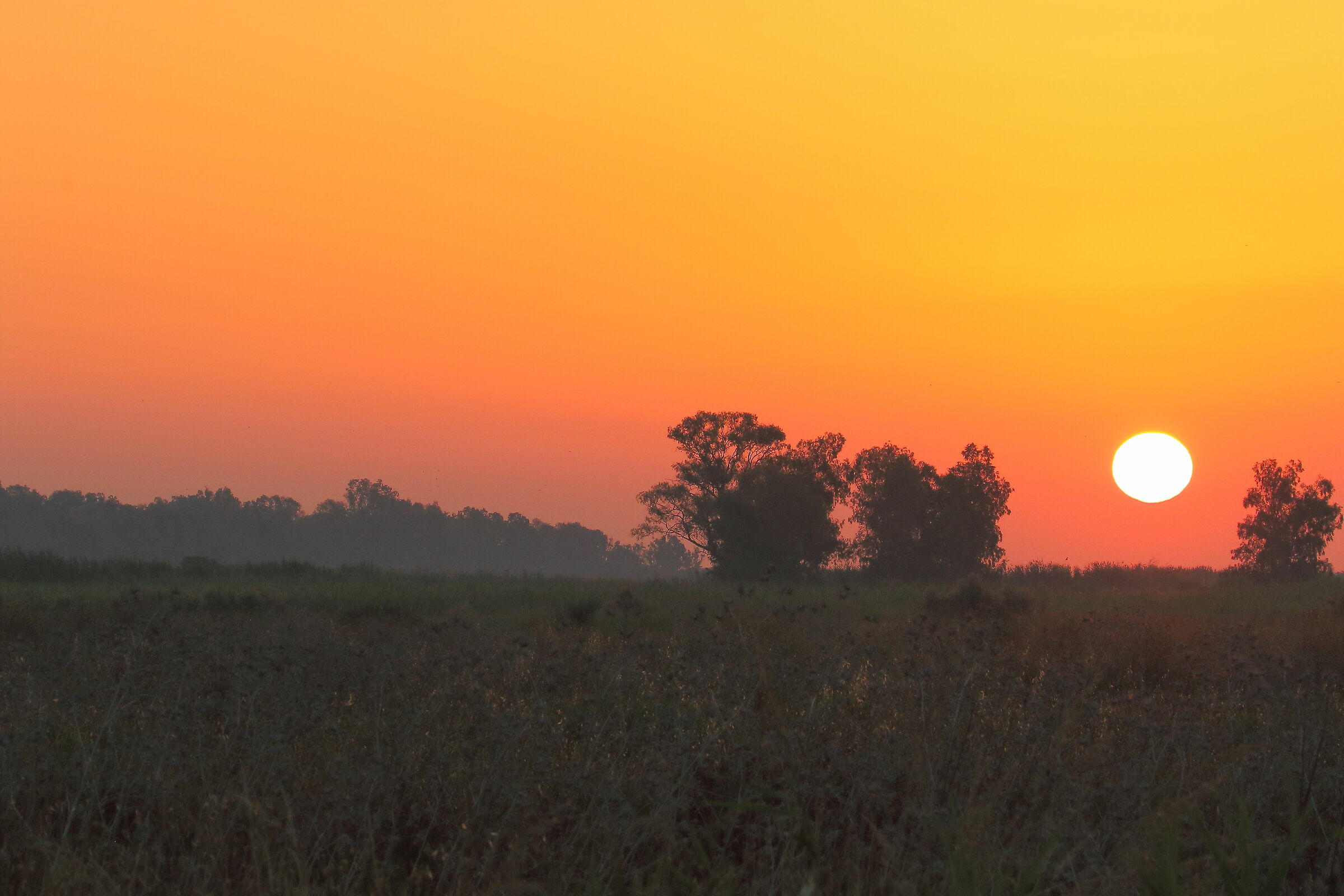 Alba all'Oasi foce del Simeto