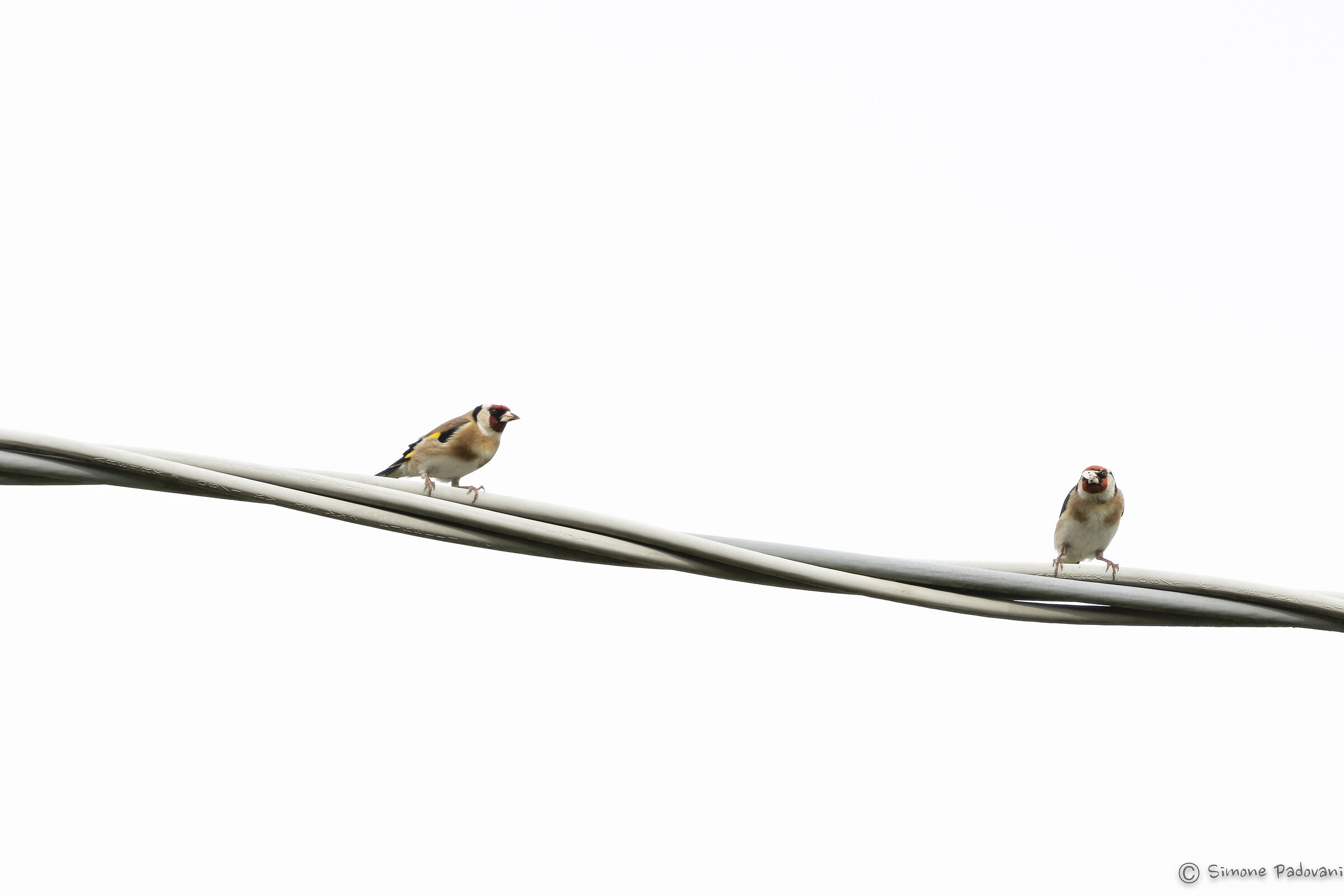 almeno 1 metro, grazie!