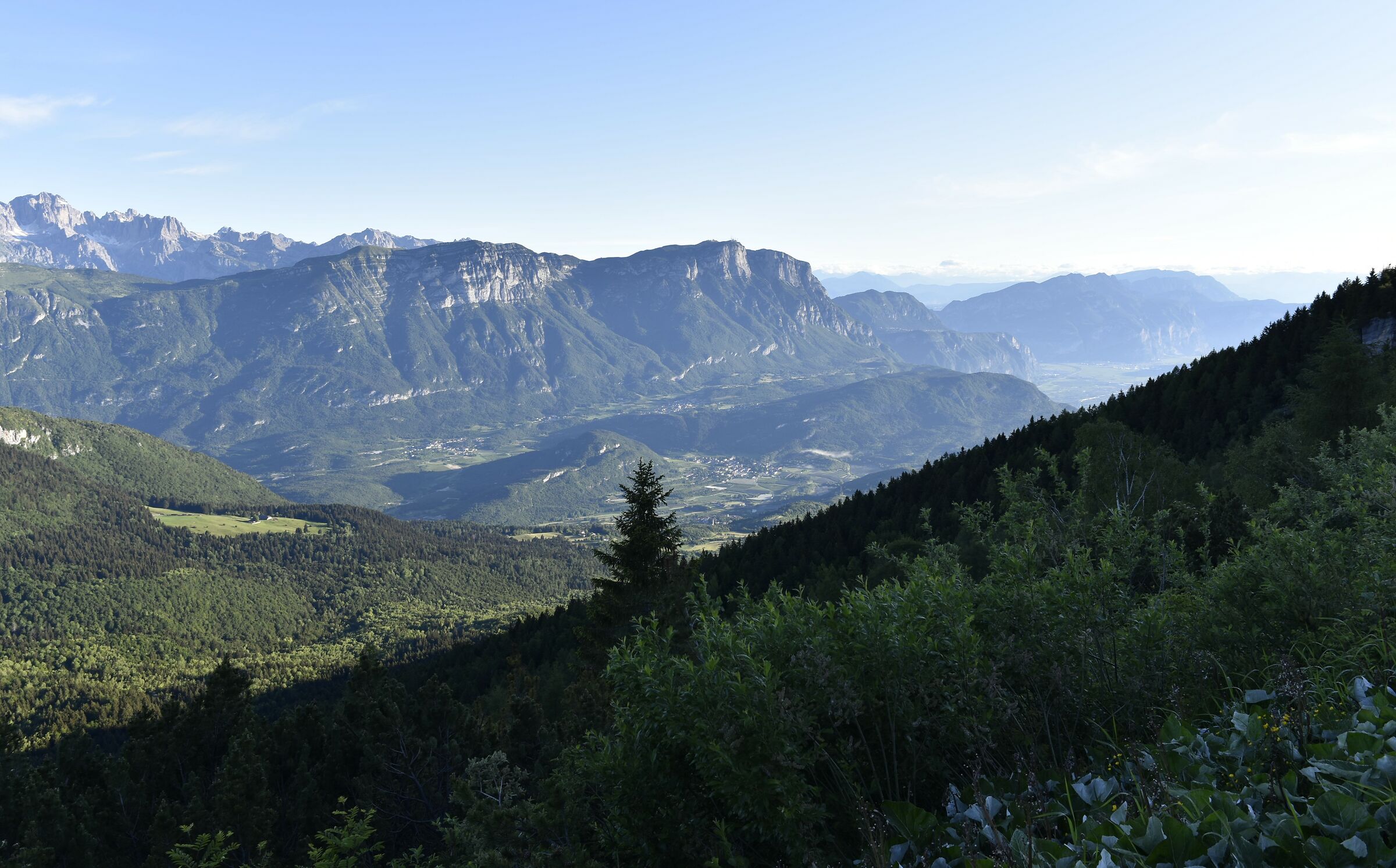 Trentino: Paganella seen from the Viotte...