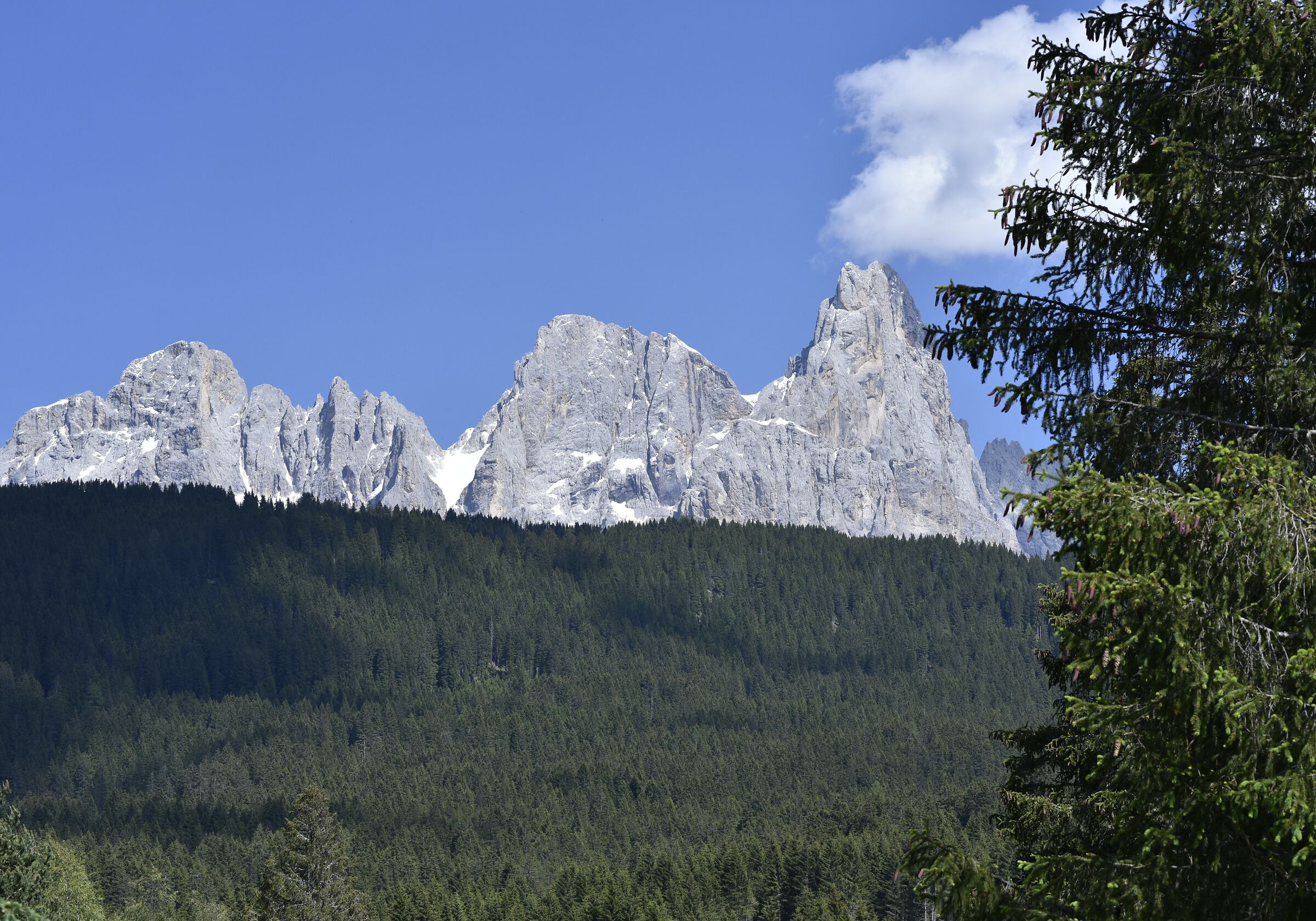 Trentino: Dolomites glimpse from Paneveggio...