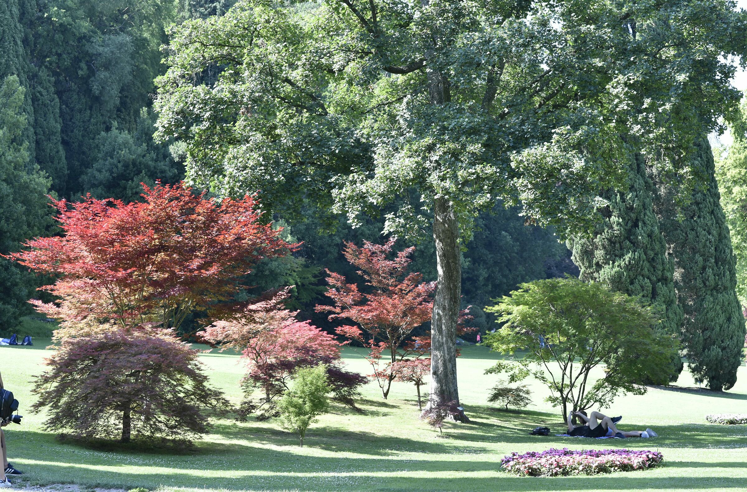 Valeggio on the Mincio: Park of the Sigurtà...