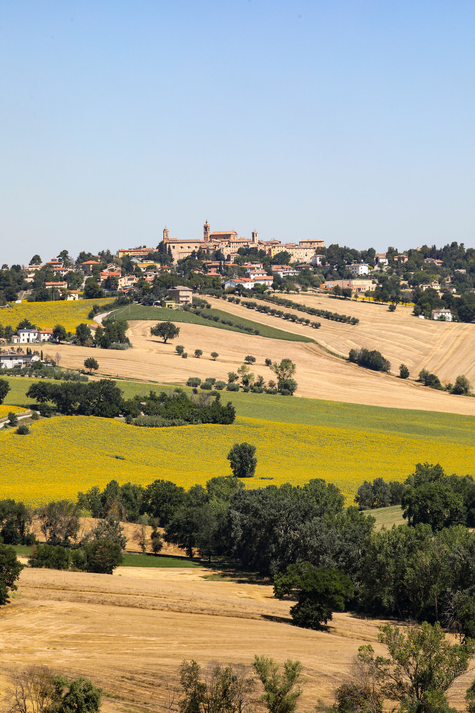 BELVEDERE OSTRENSE (AN)