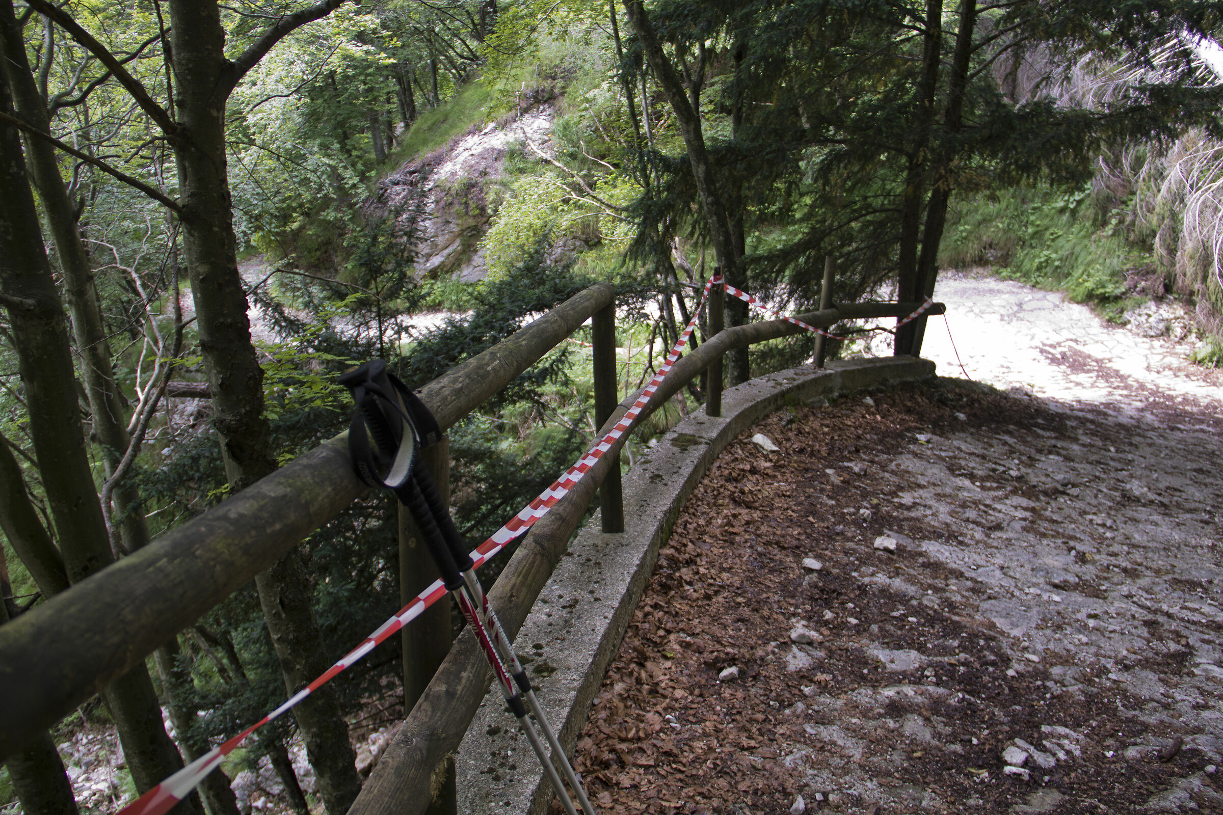 Forest Road