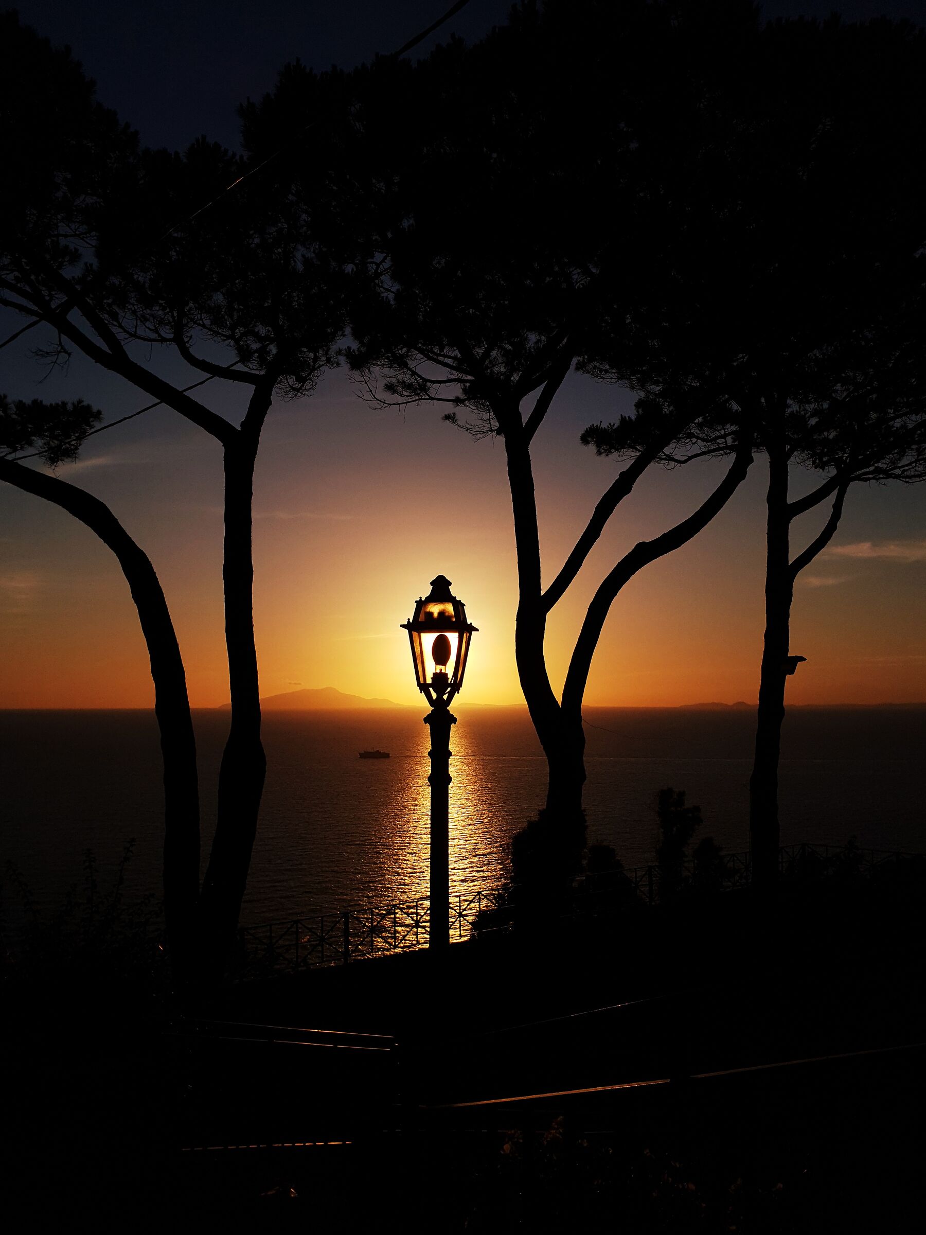 Light