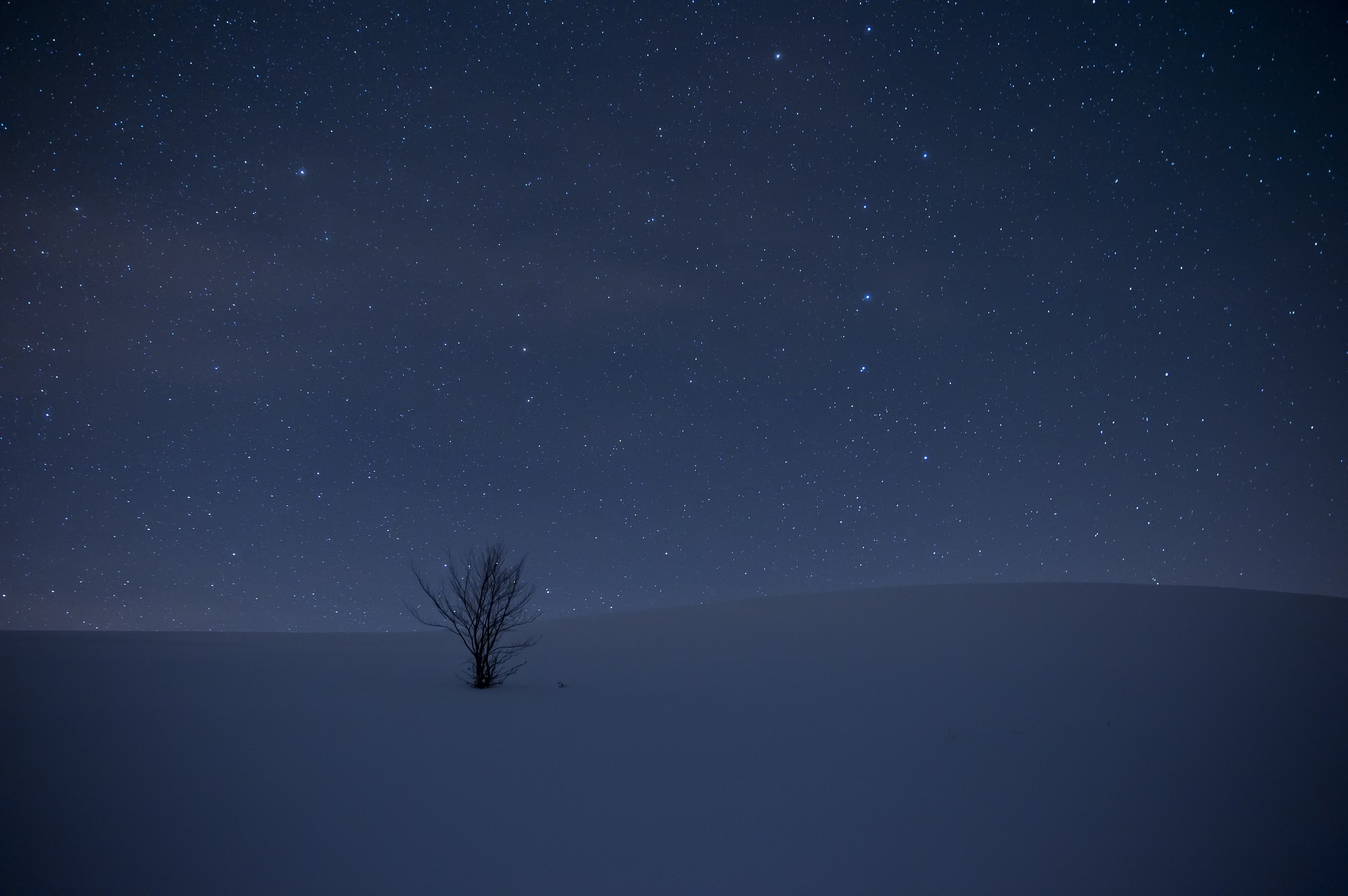 only under a sea of ??stars ....