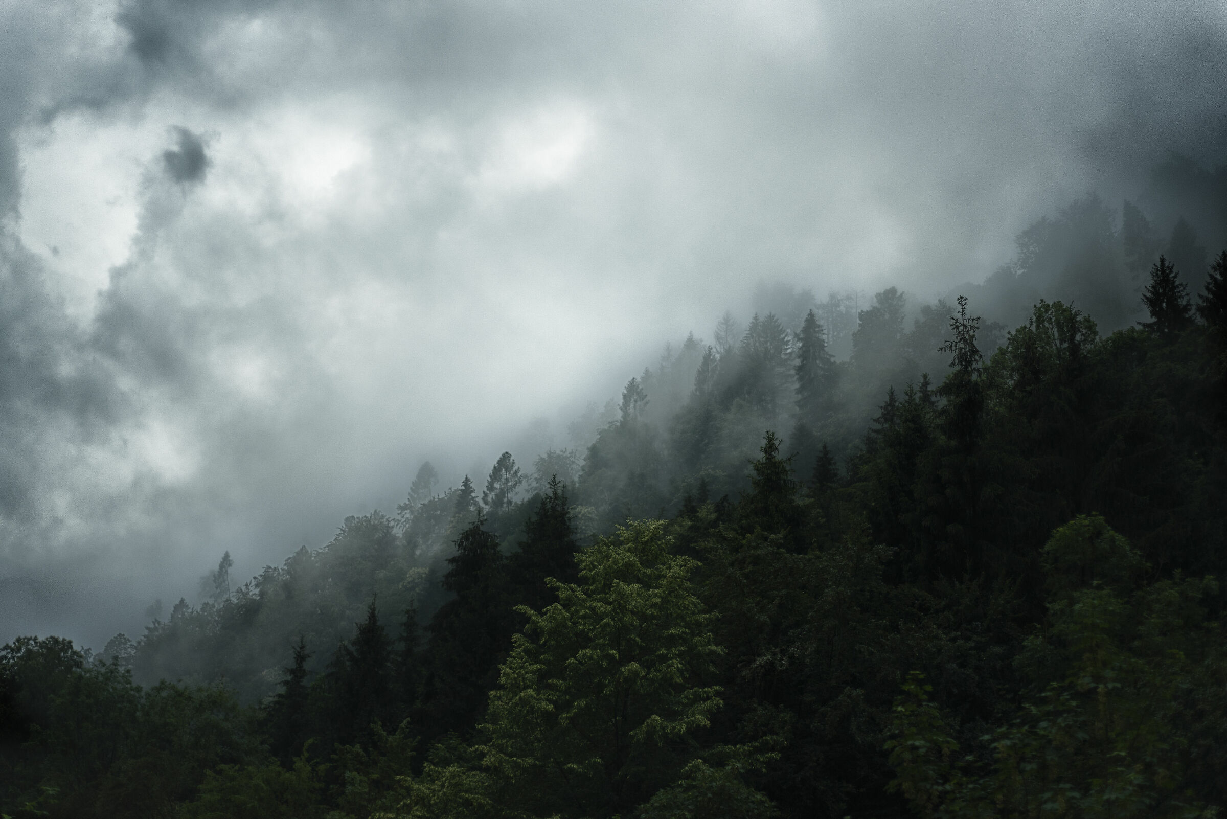 Fog at the irtine hills