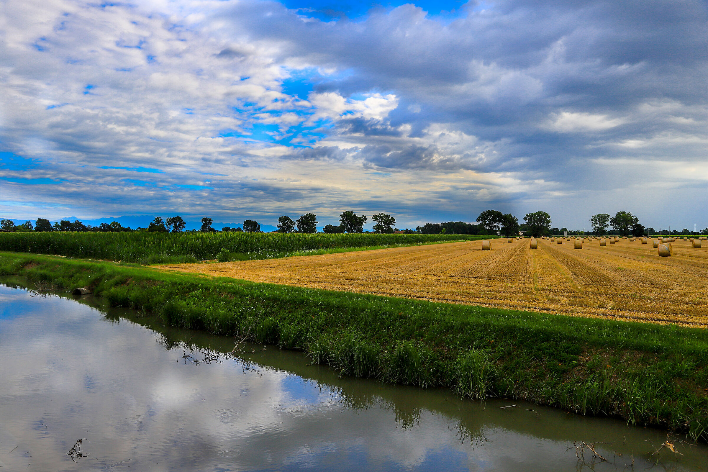 Agricultural Contrast
