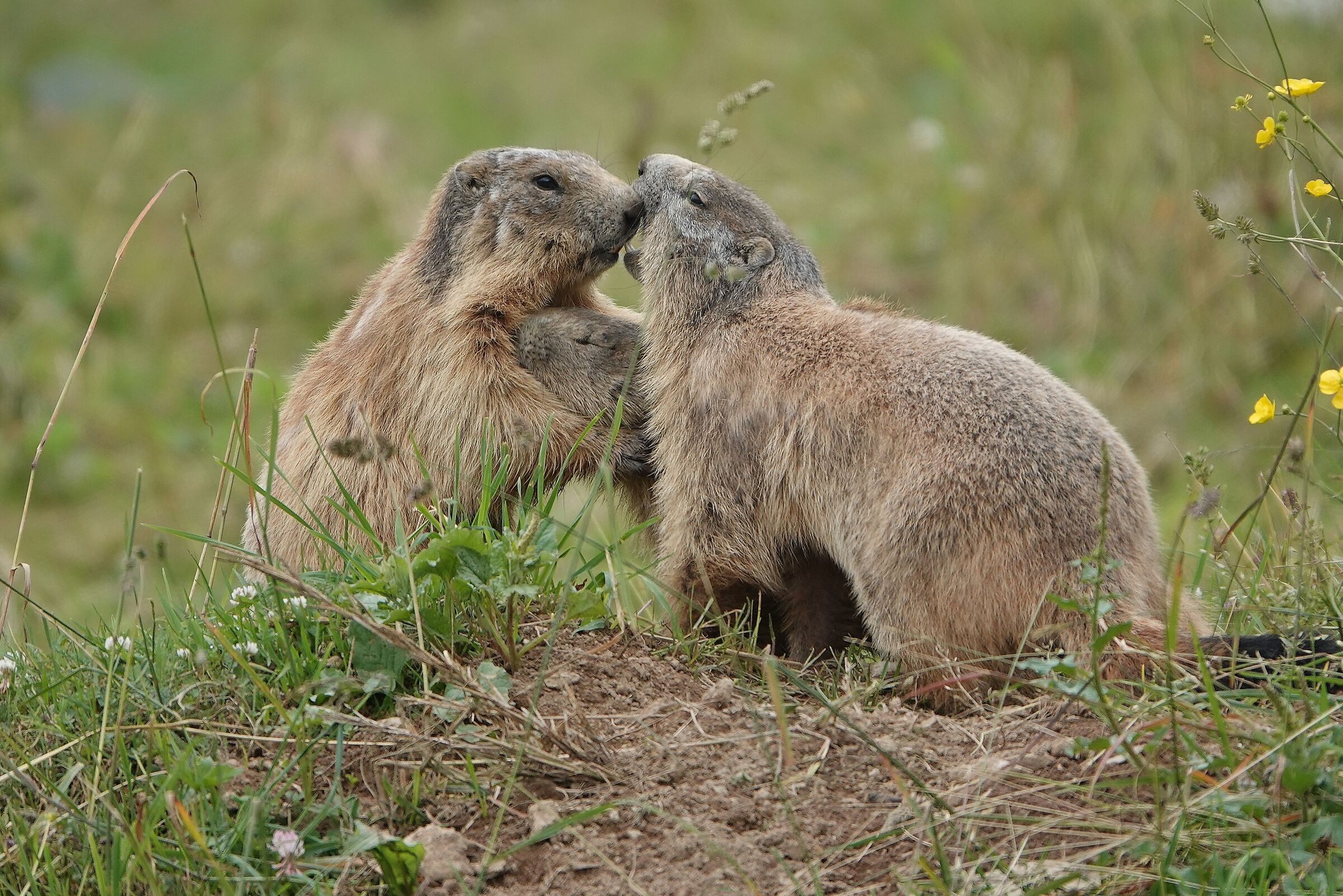 ... we love each other....
