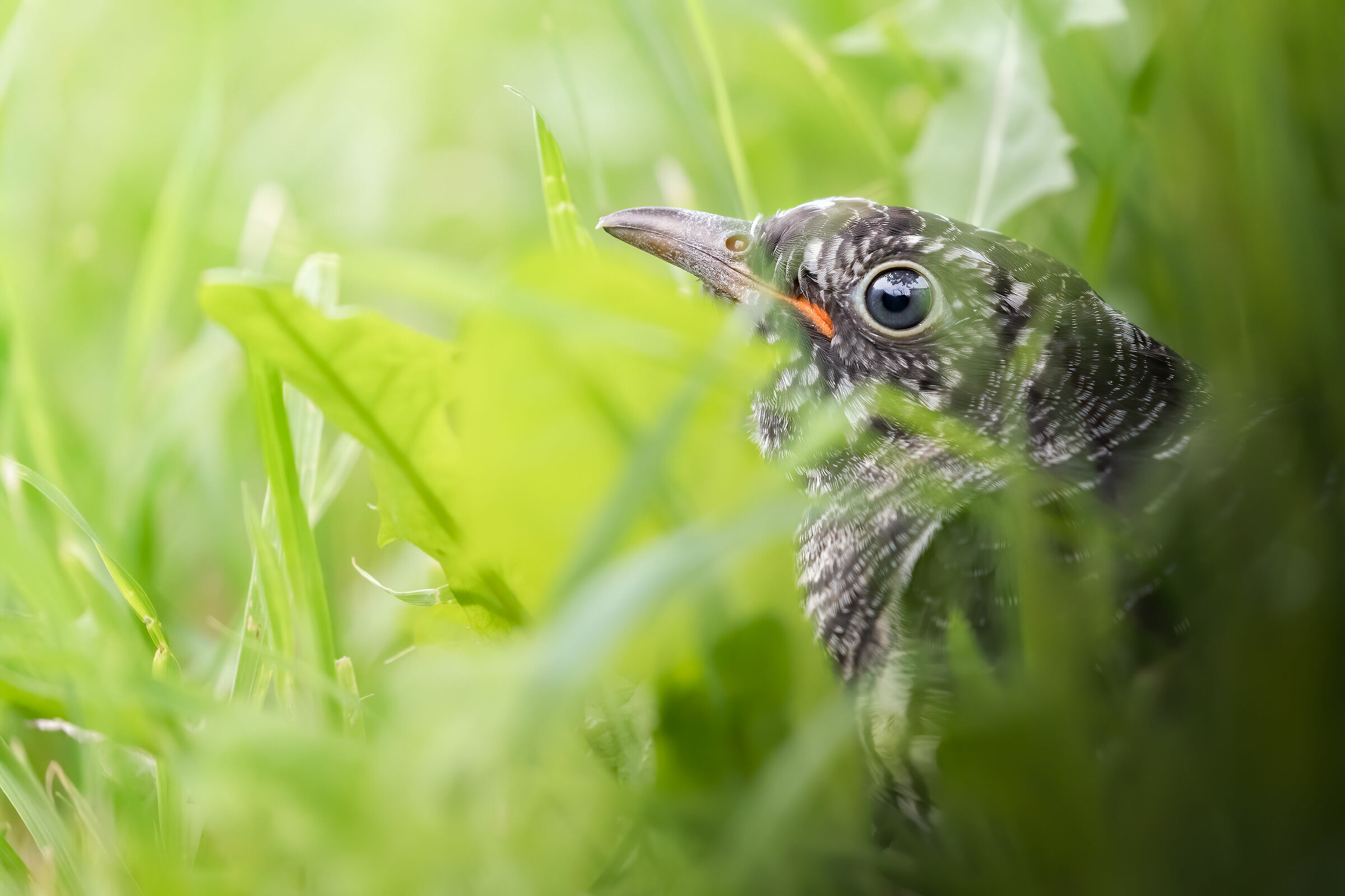 Il primo contatto con il mondo