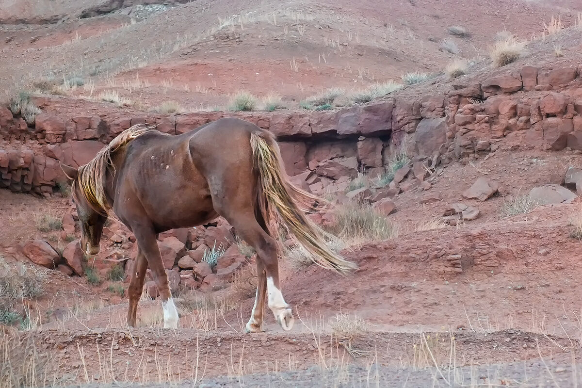 for a few dollars more