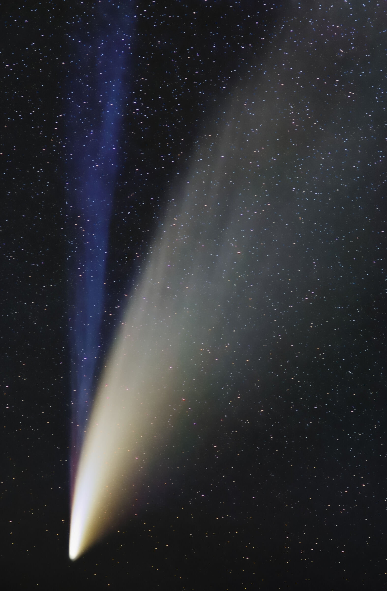 Comet NEOWISE and its tails