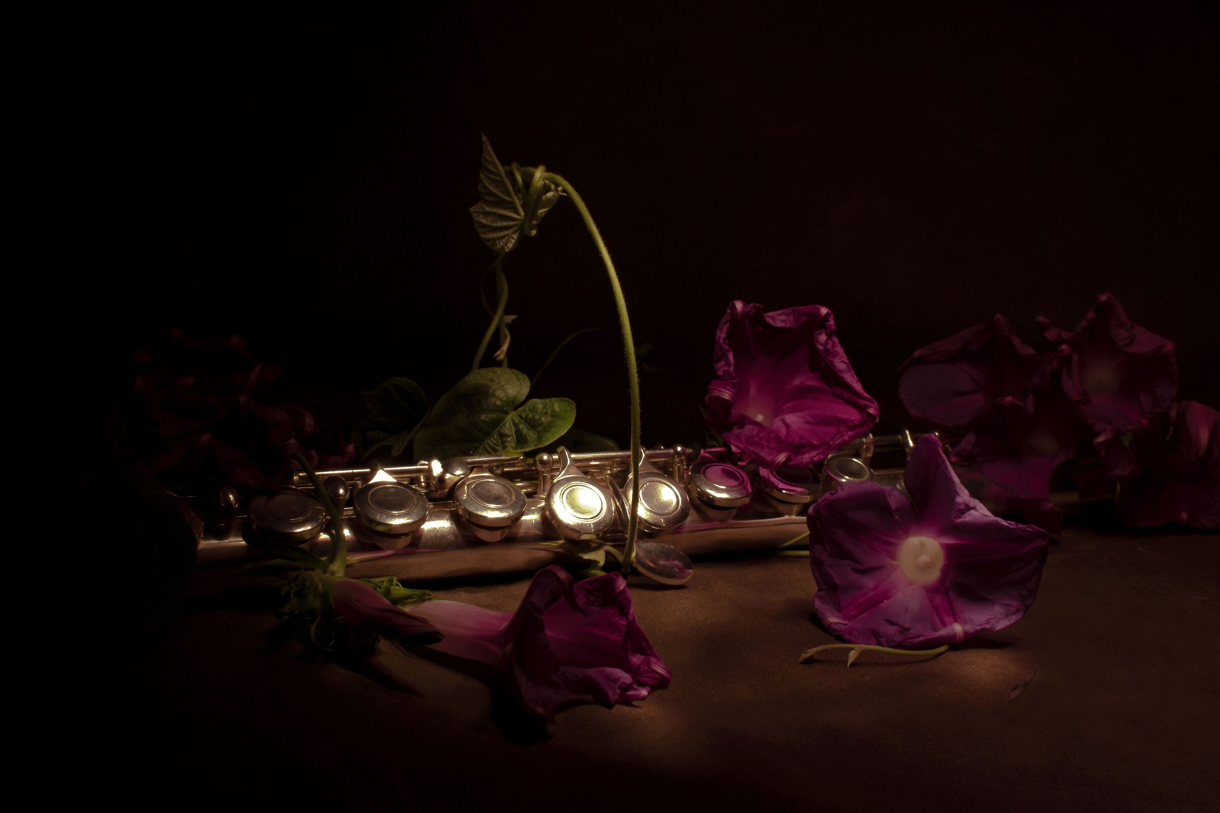 Untitled Photo