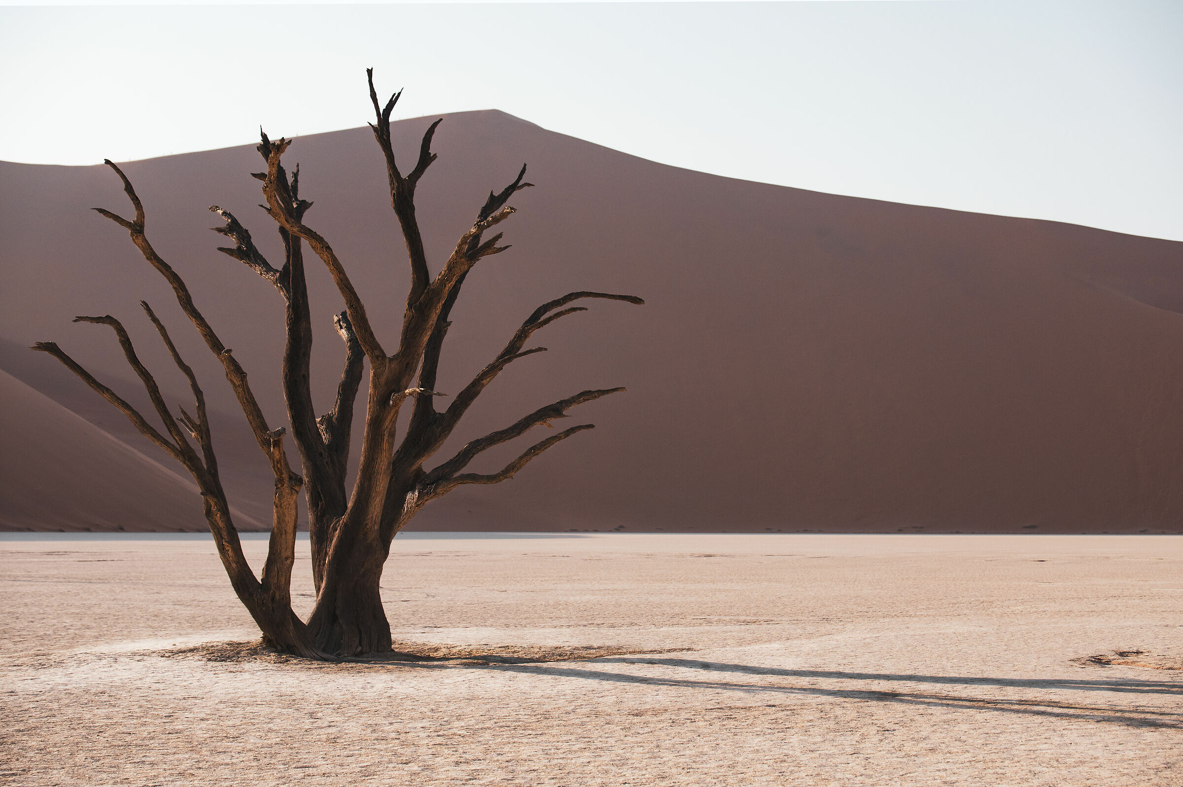 Deadvlei People