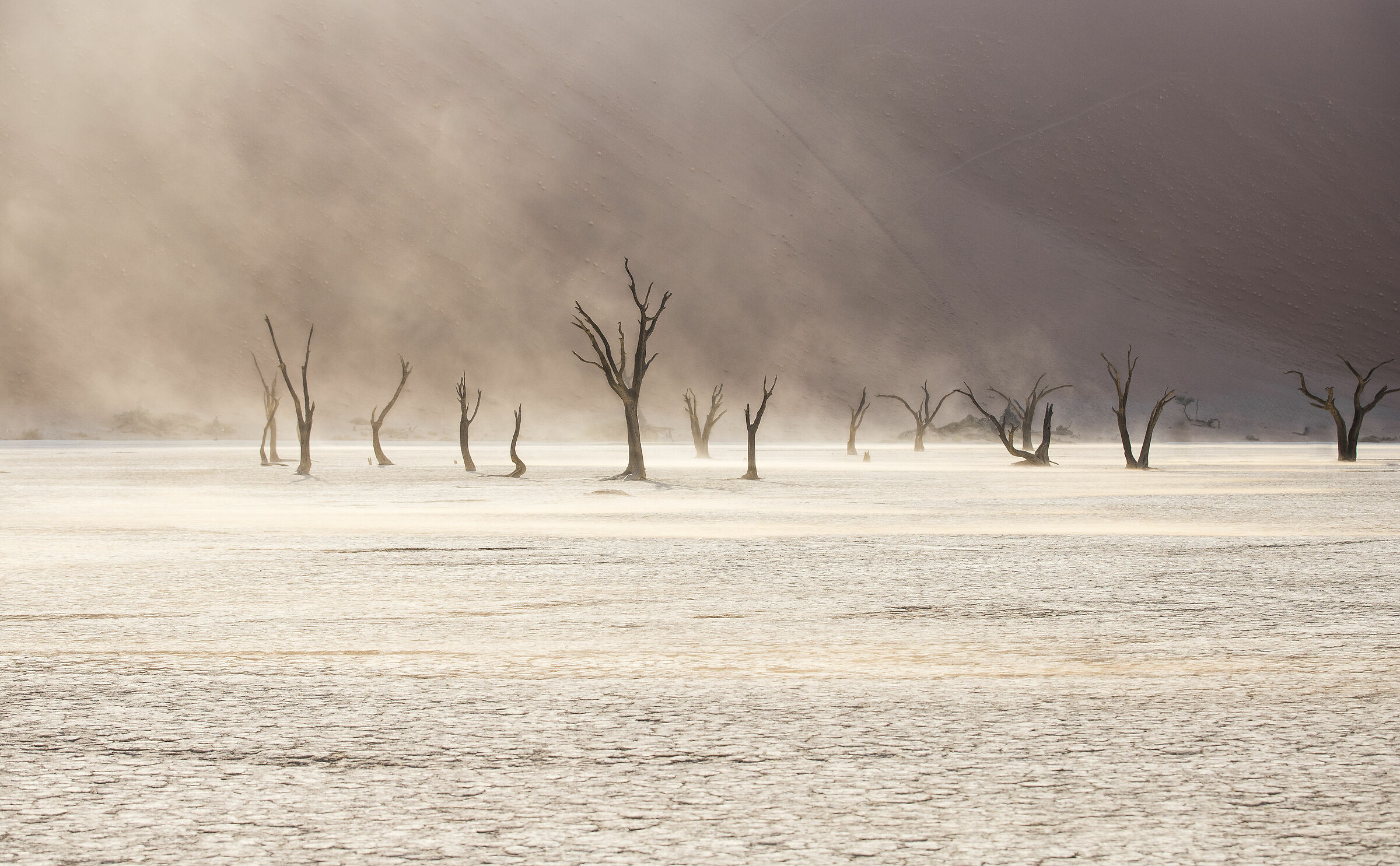 Deadvlei People