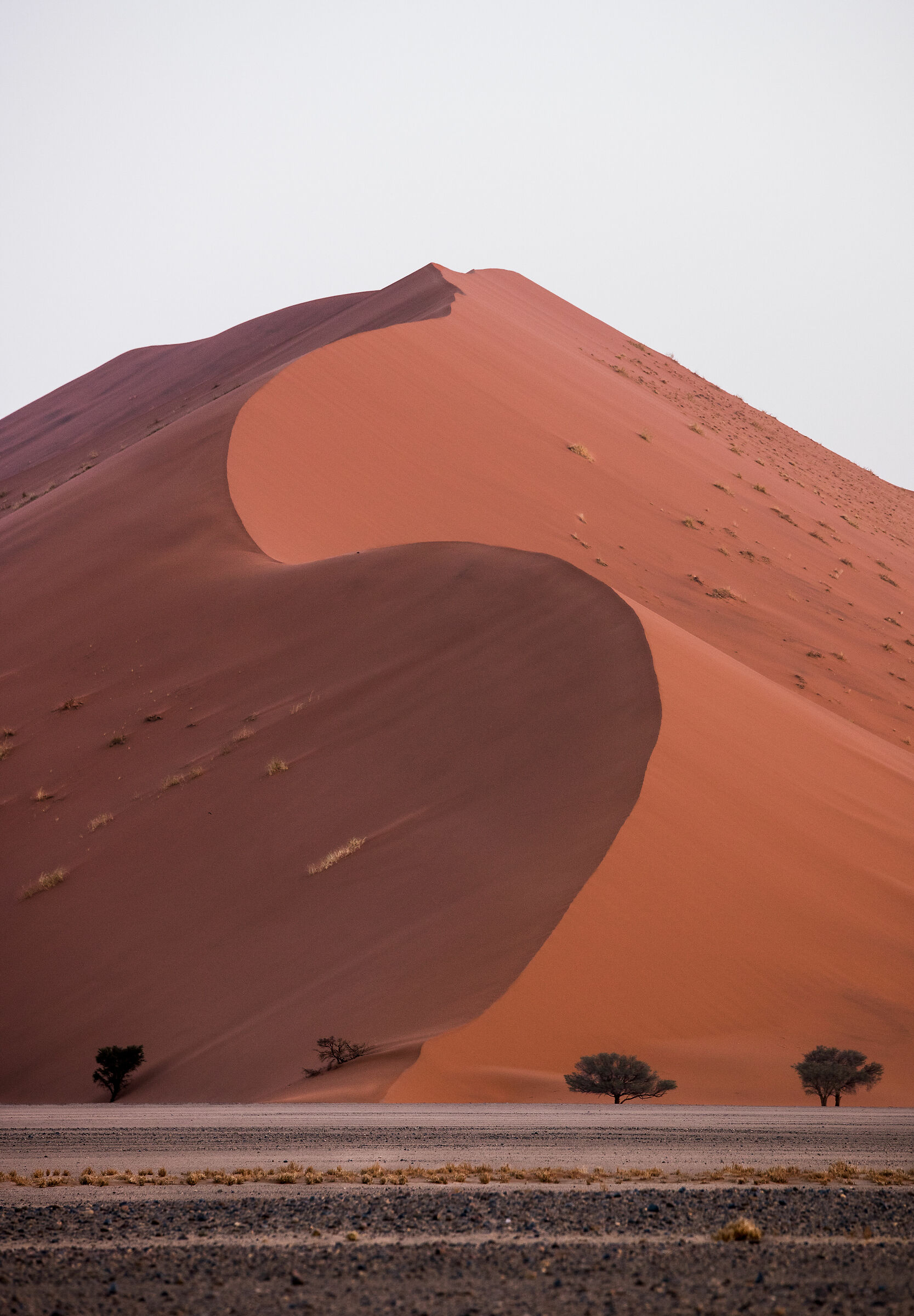 Sossusvlei
