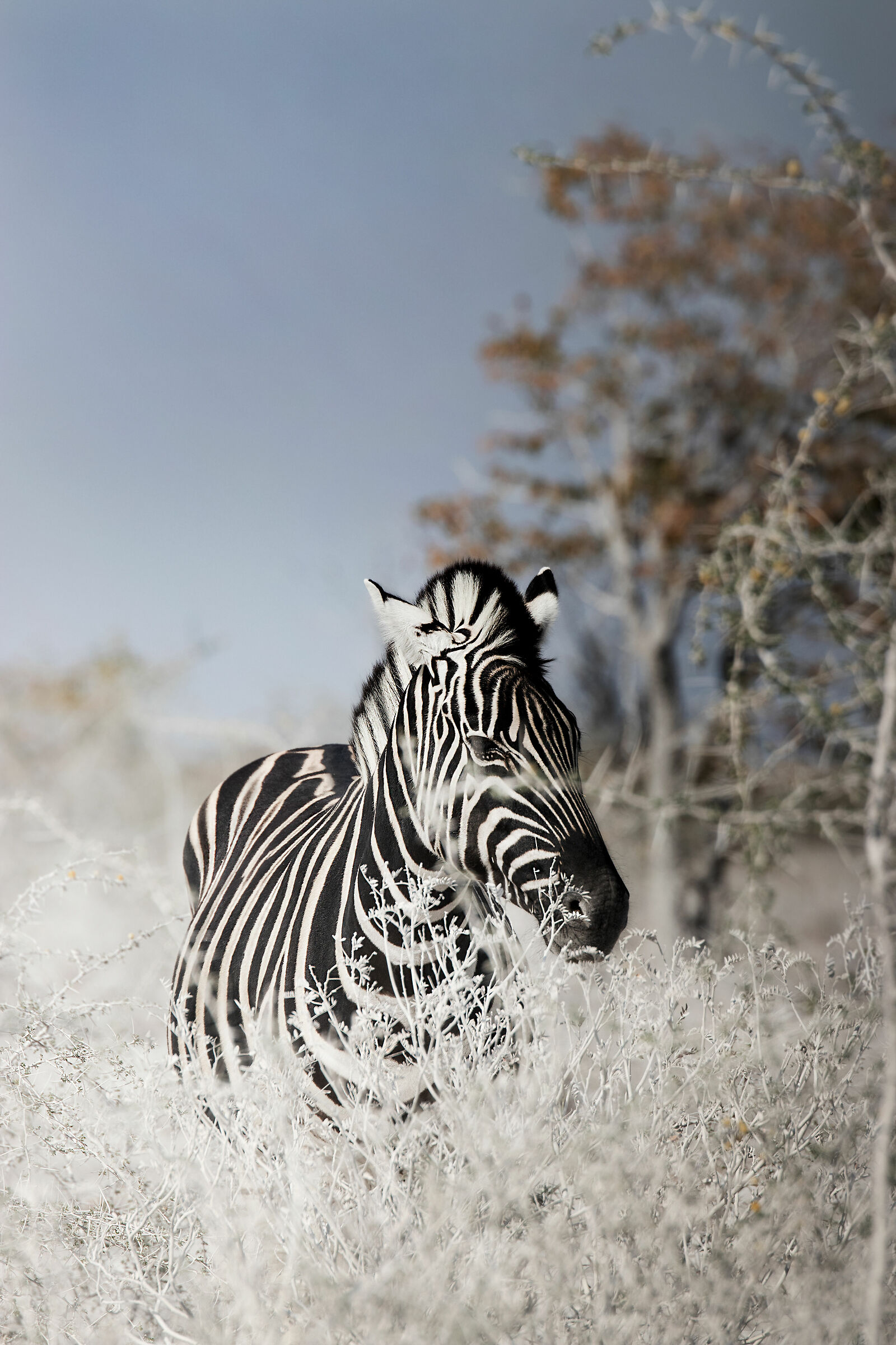 Confusing yourself with the landscape