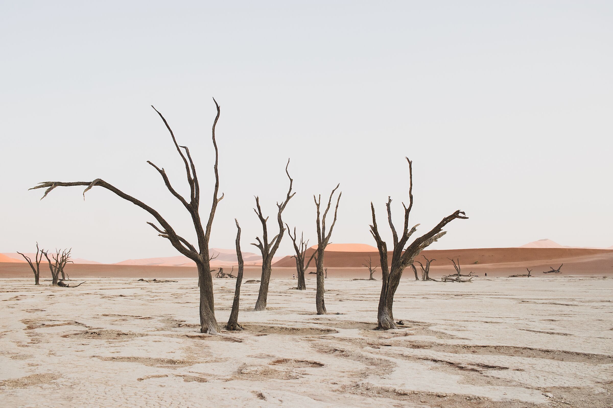 Deadvlei People