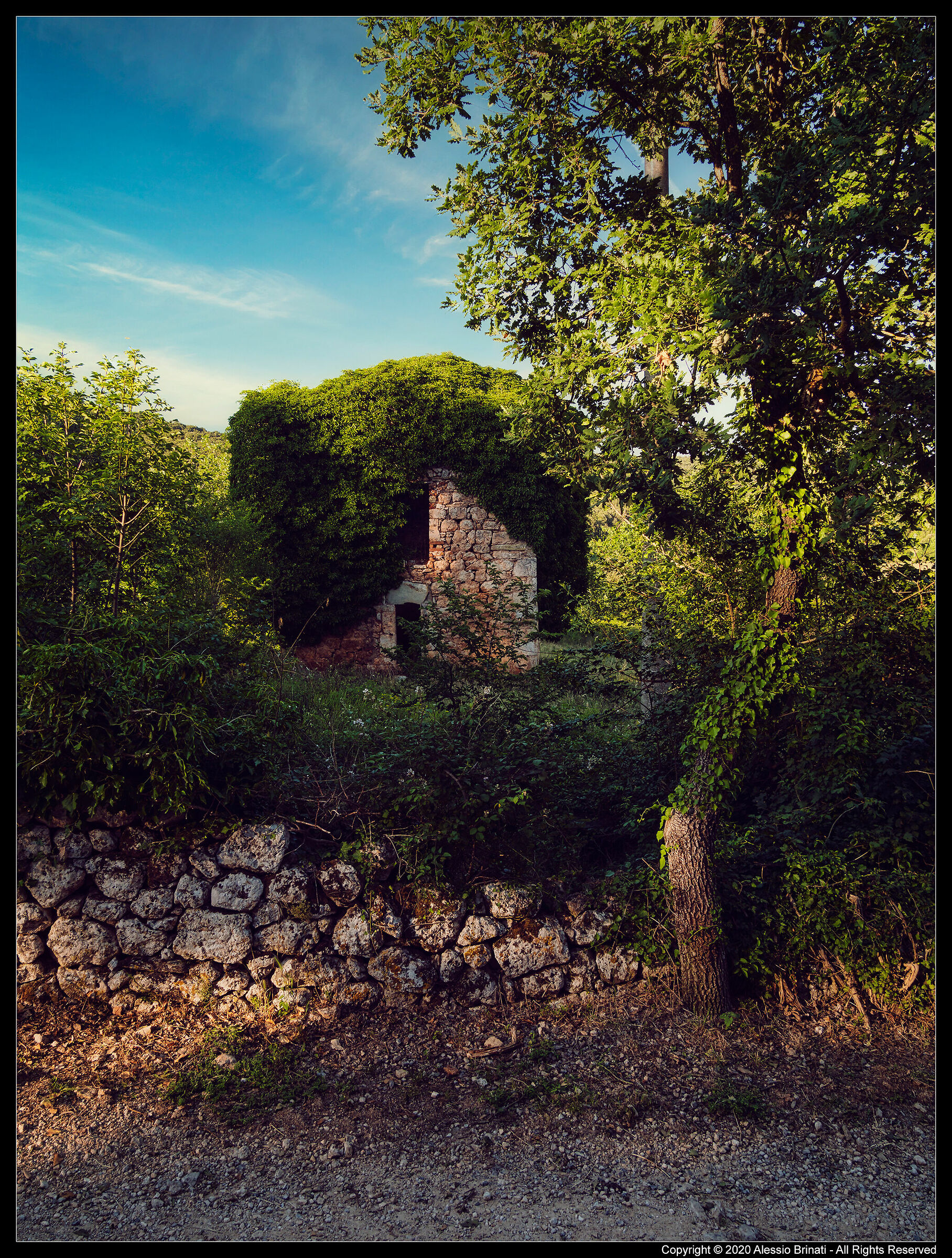 Il Giardino Segreto..