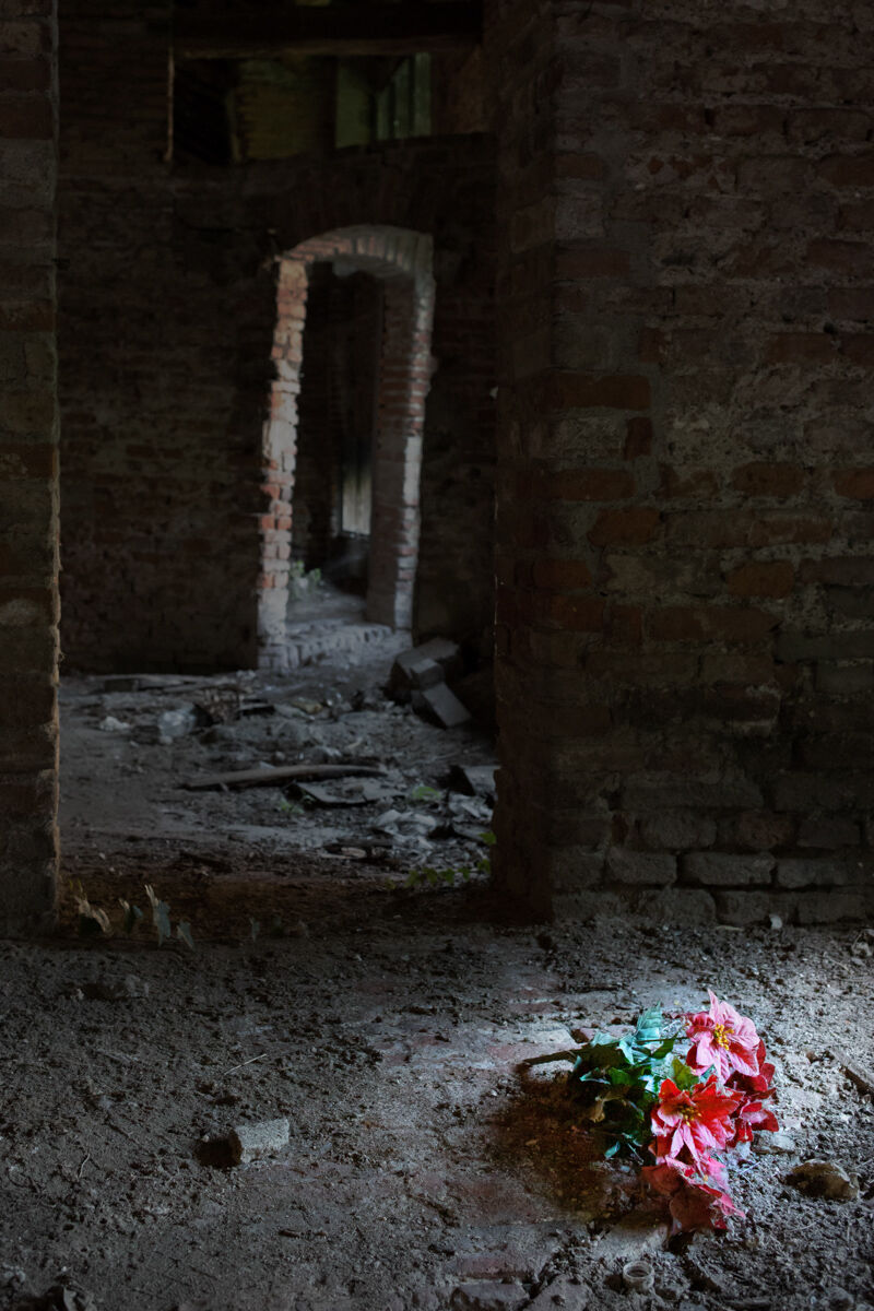 Amore che vieni, amore che vai