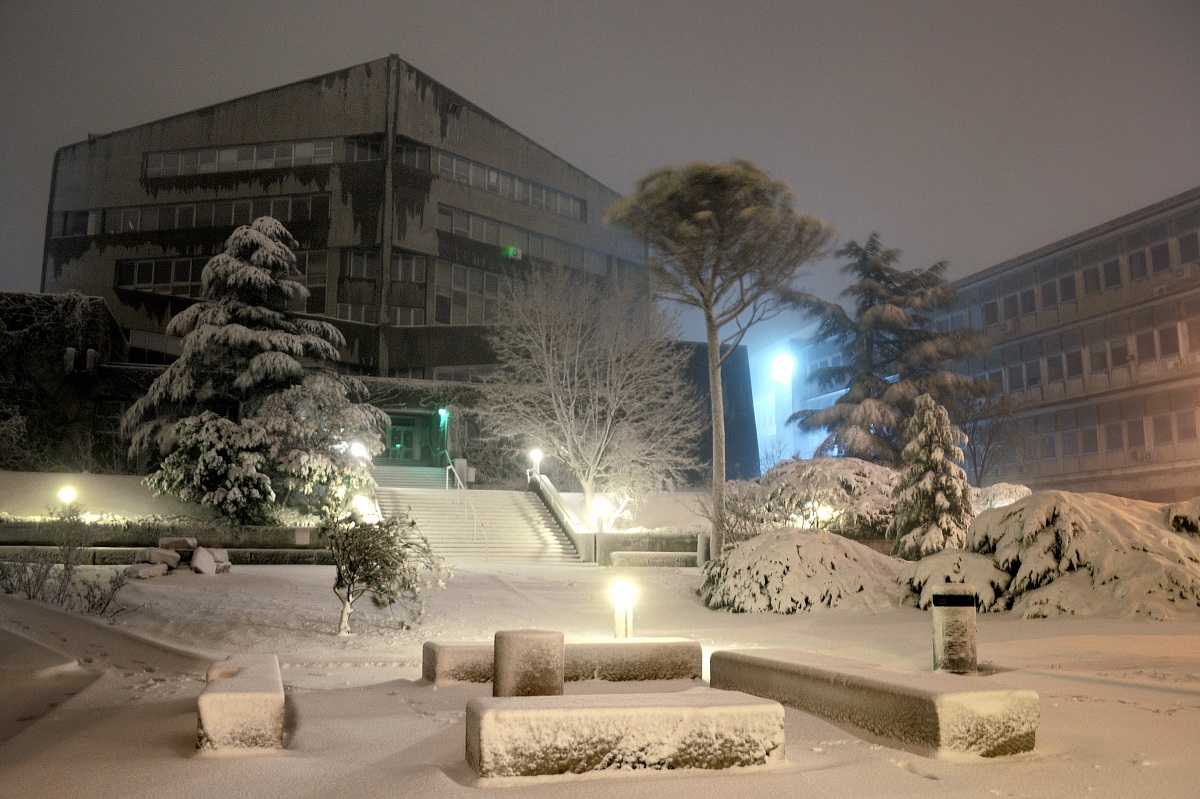 neve all'università di Trieste