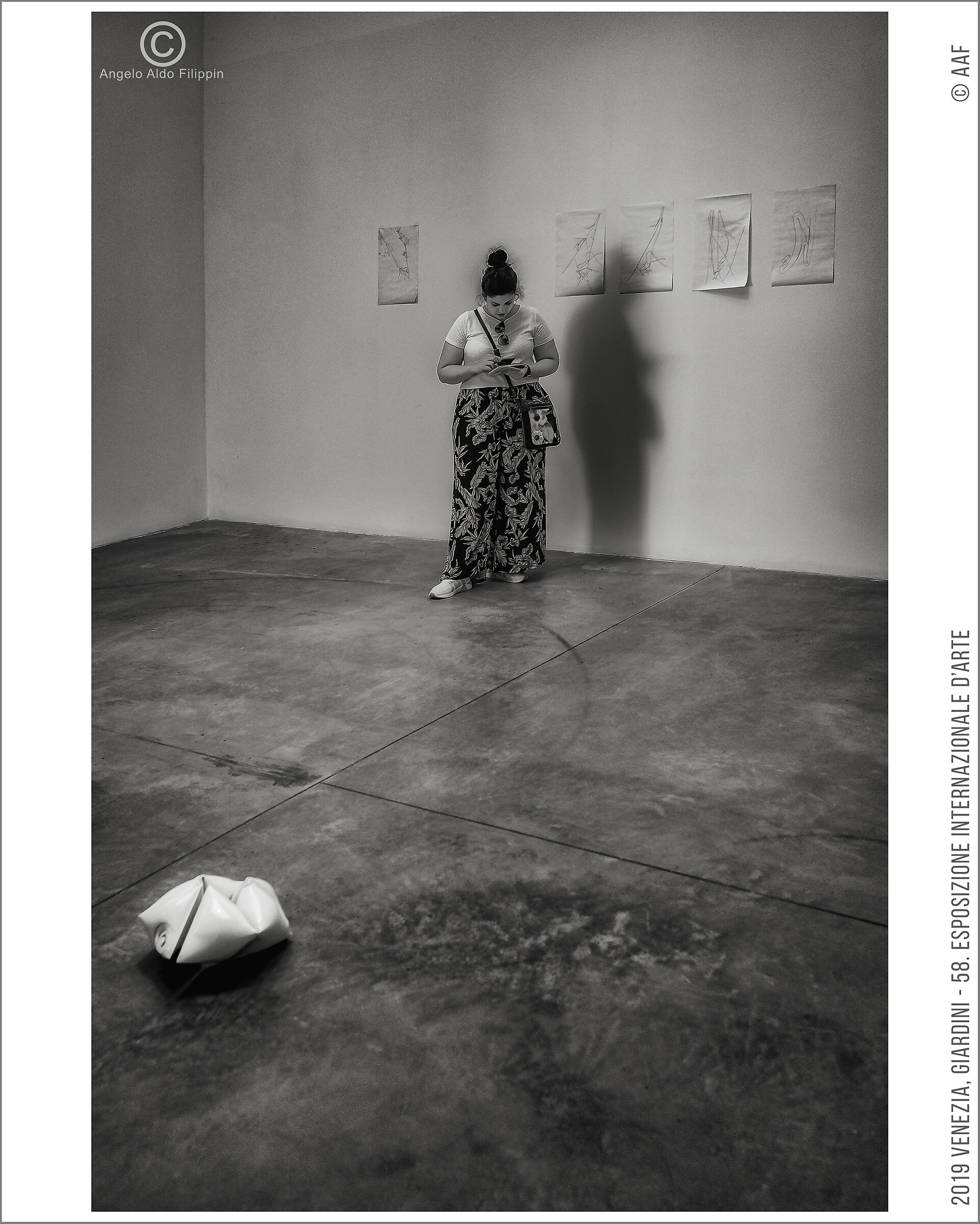 2019 Venezia, Giardini-58. Esposizione Intern. d'Arte