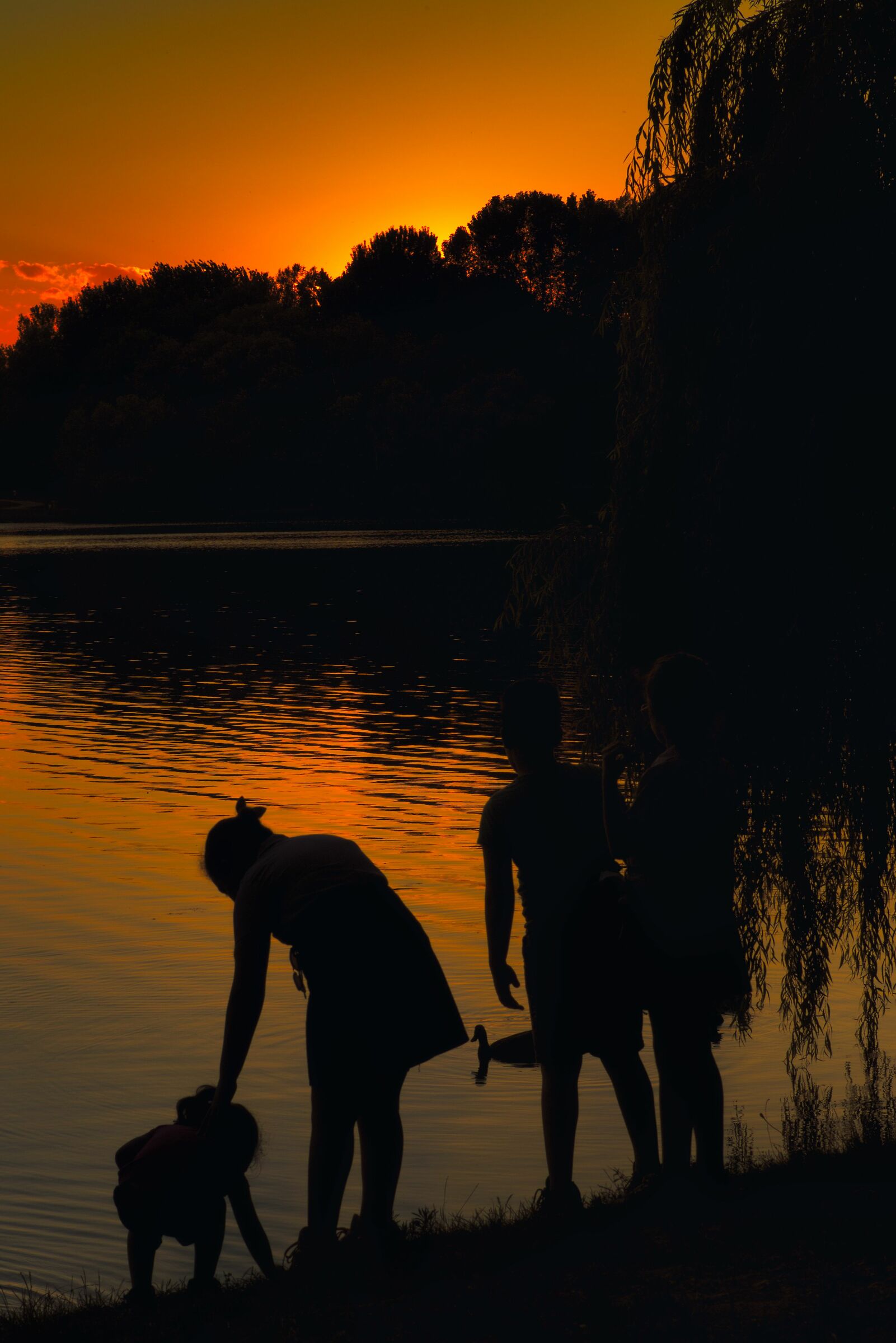 la famigliola al tramonto