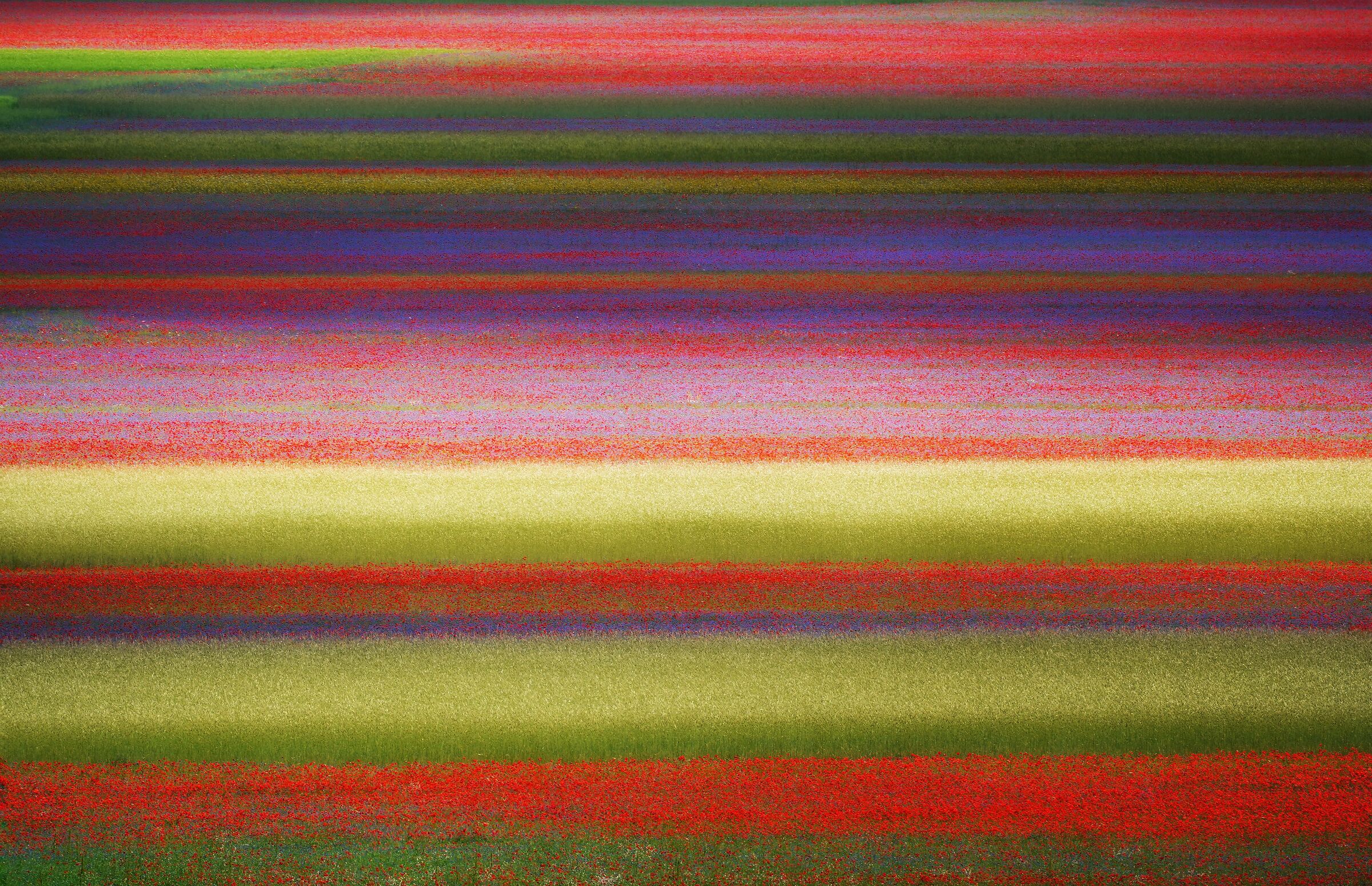 The colors of Castelluccio.