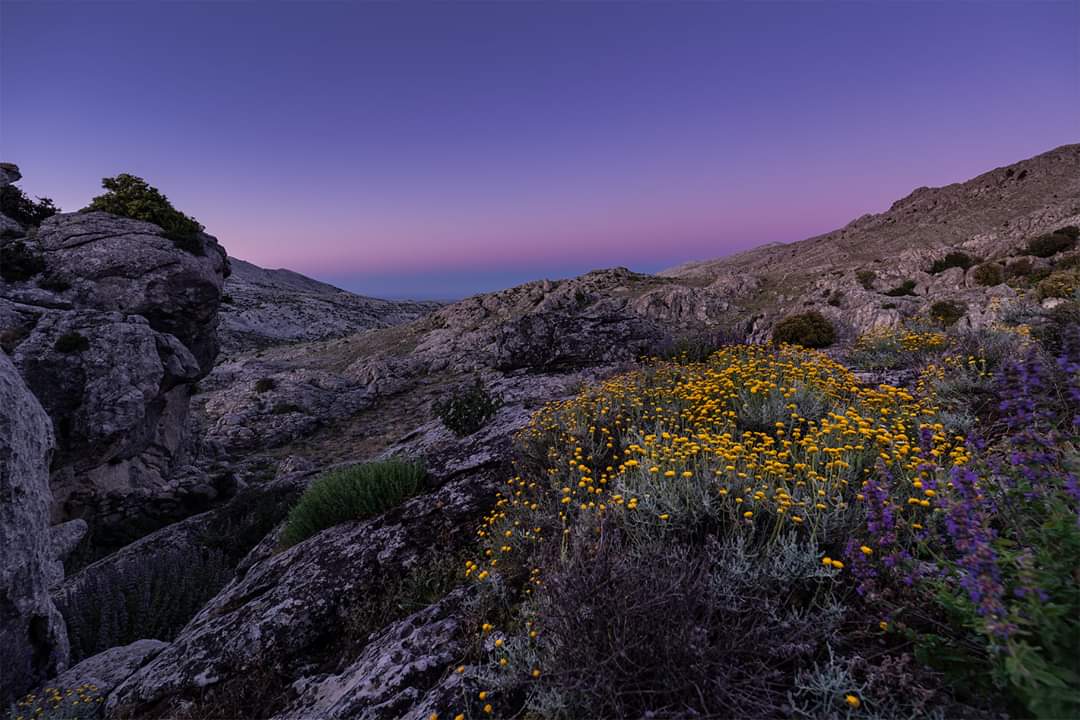 Supramonte di Oliena (sardegnal