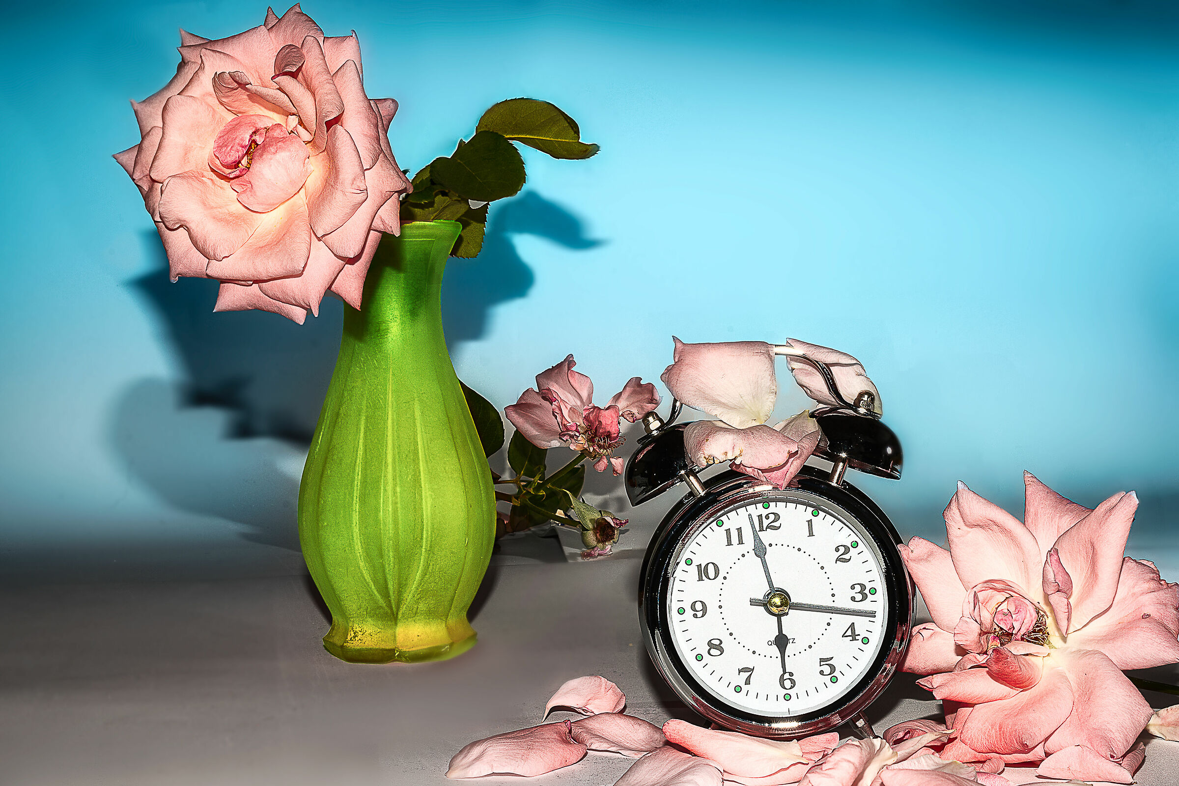 il tempo ci ricorda che tutto sfiorisce