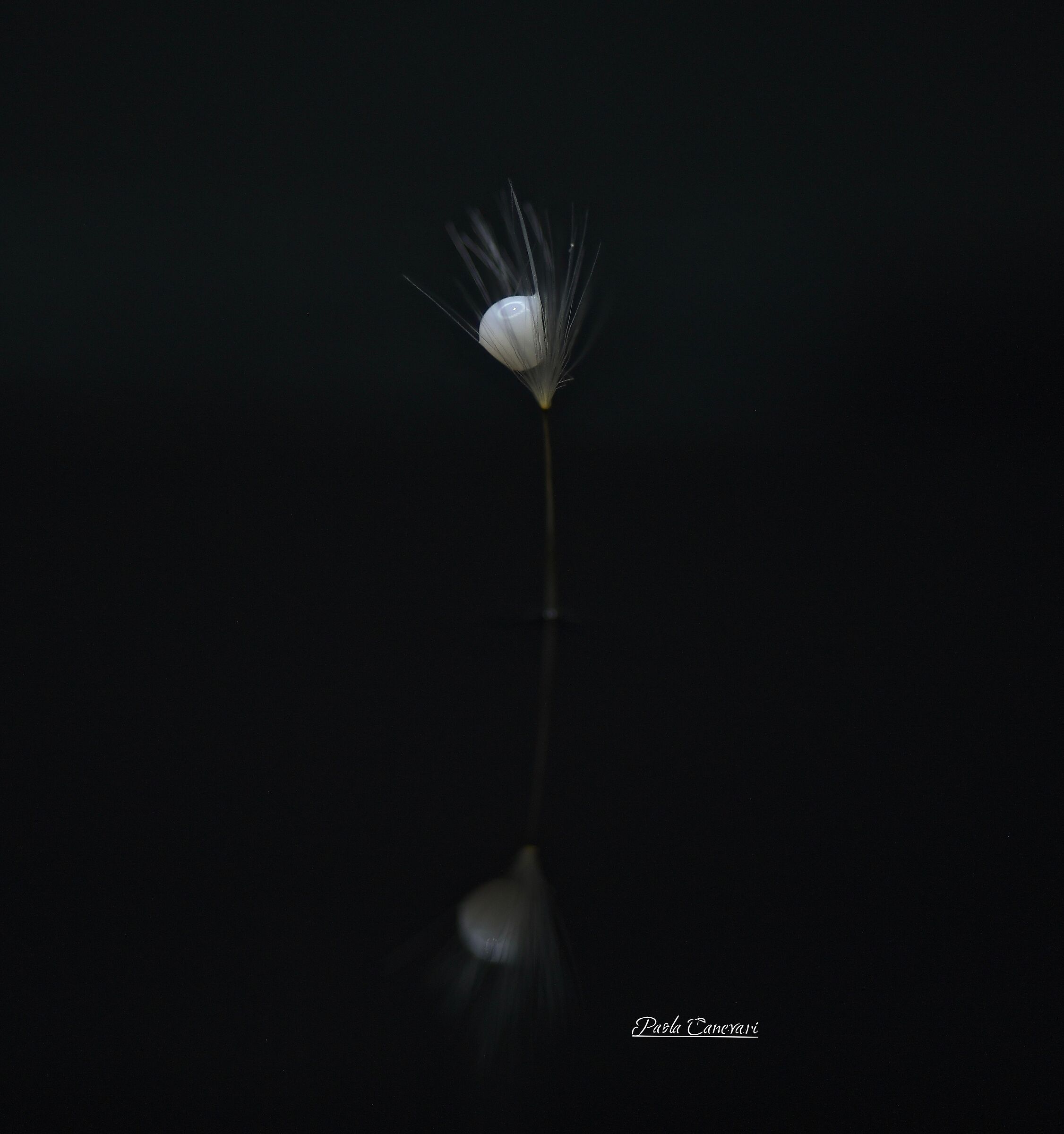 Untitled Photo