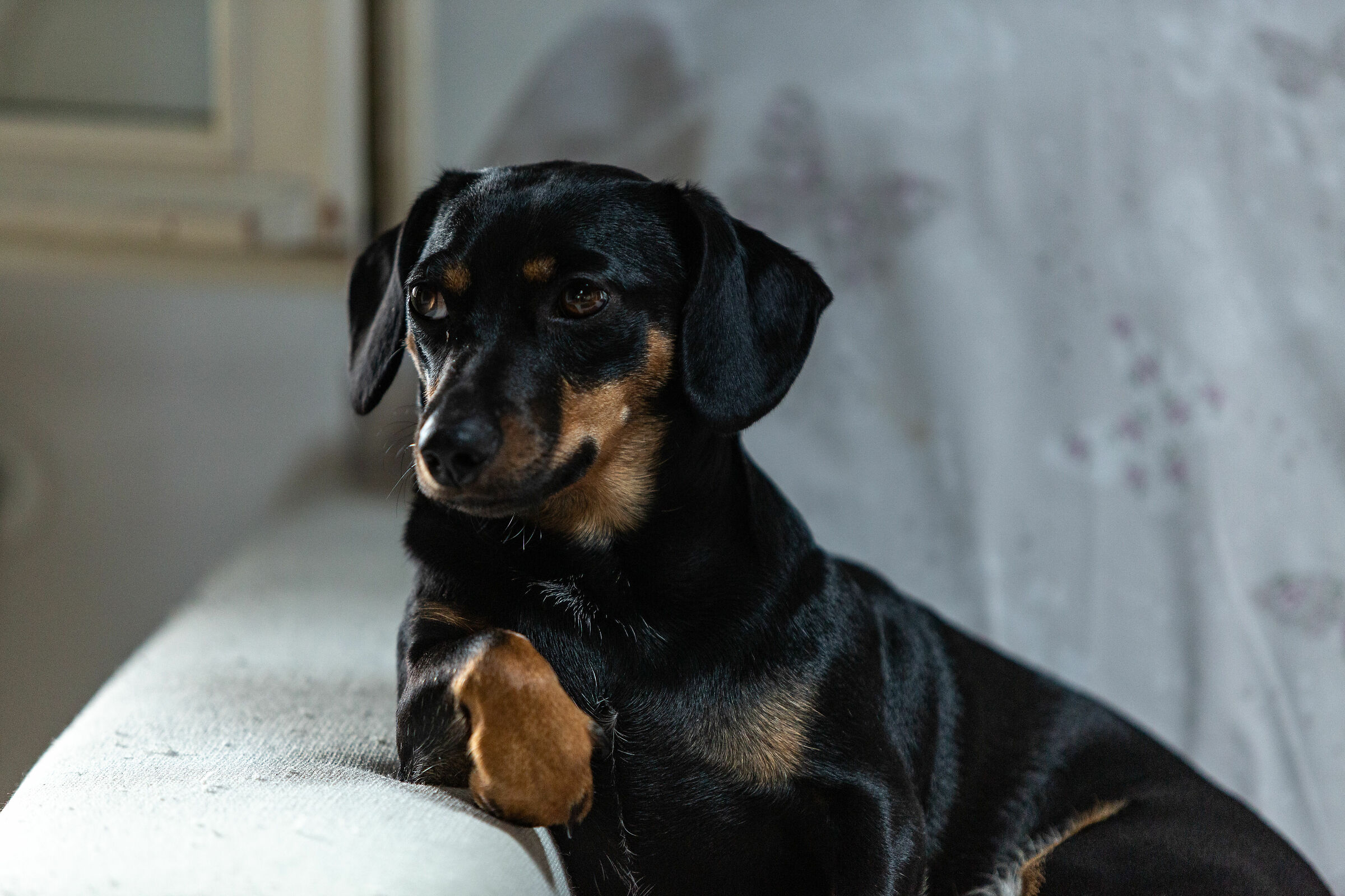 Bonjour, je suis Priscilla.