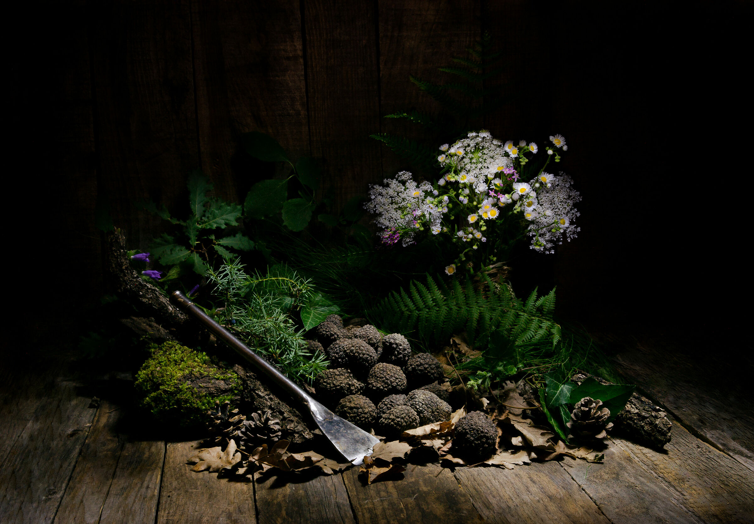 Profumo di sottobosco...