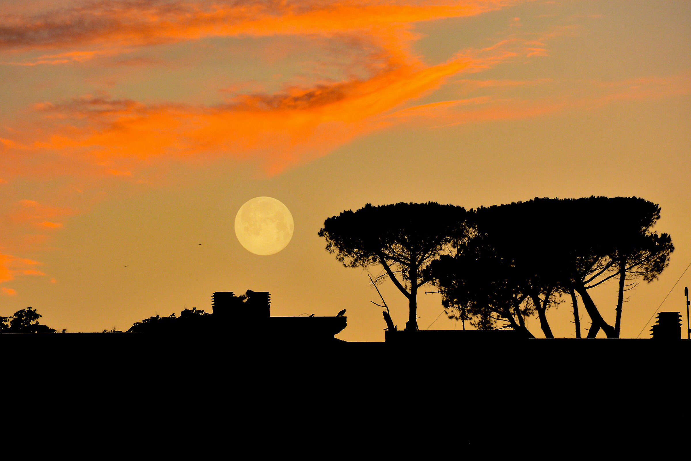 Dal balcone di casa a Vasto