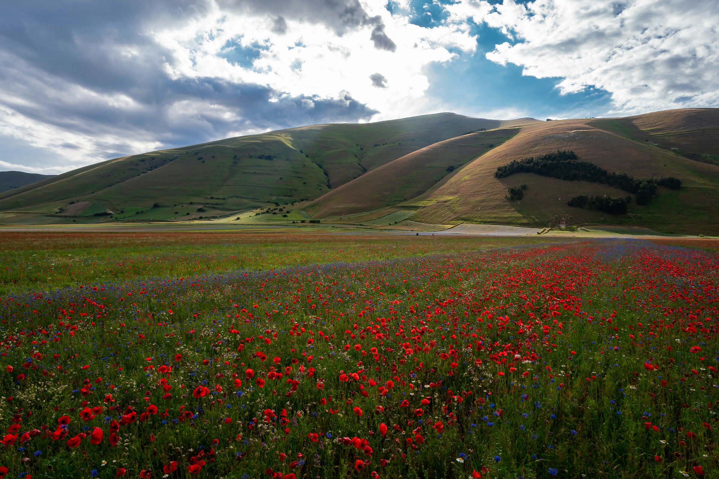 La piana di Castelluccio