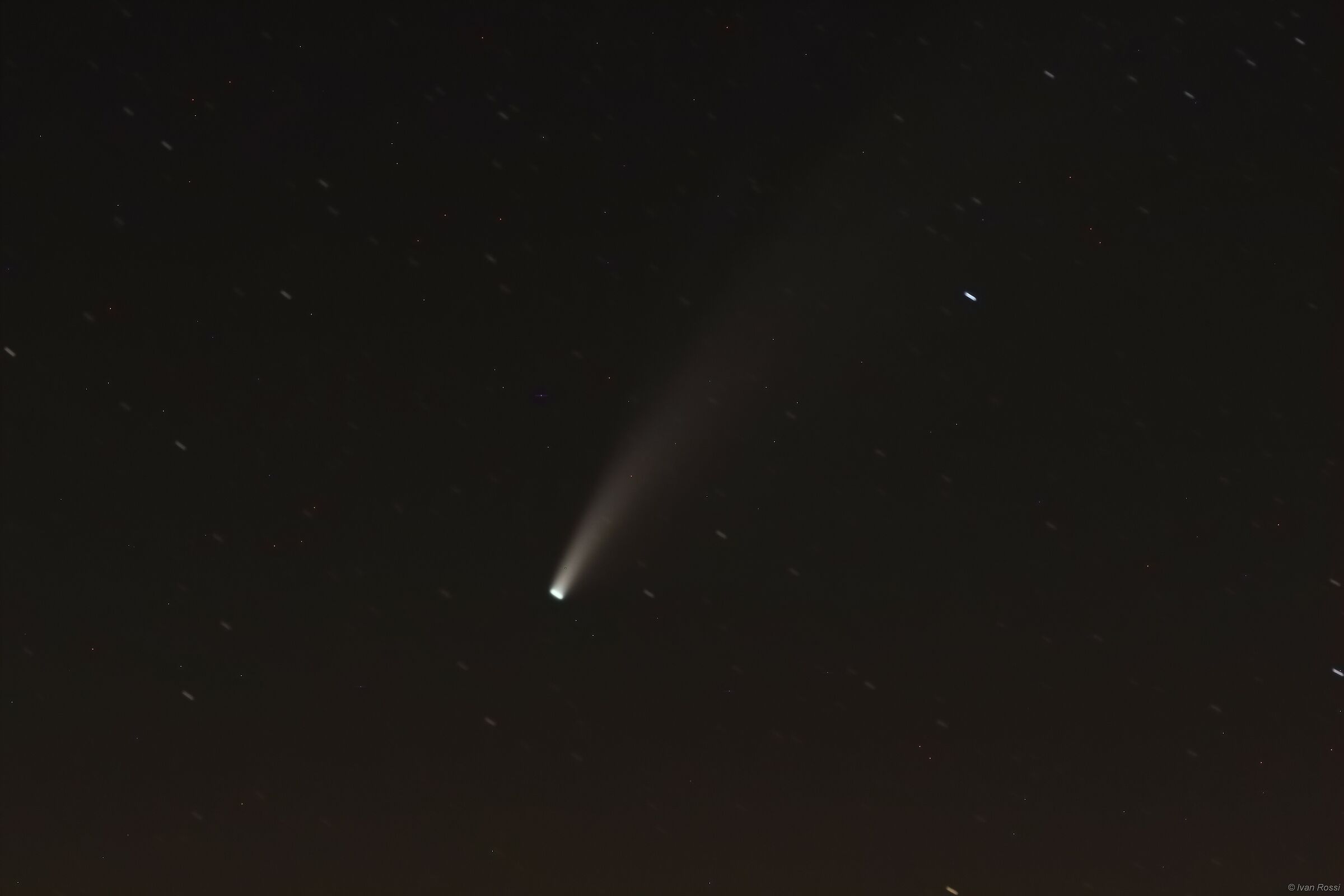 Cometa Neowise