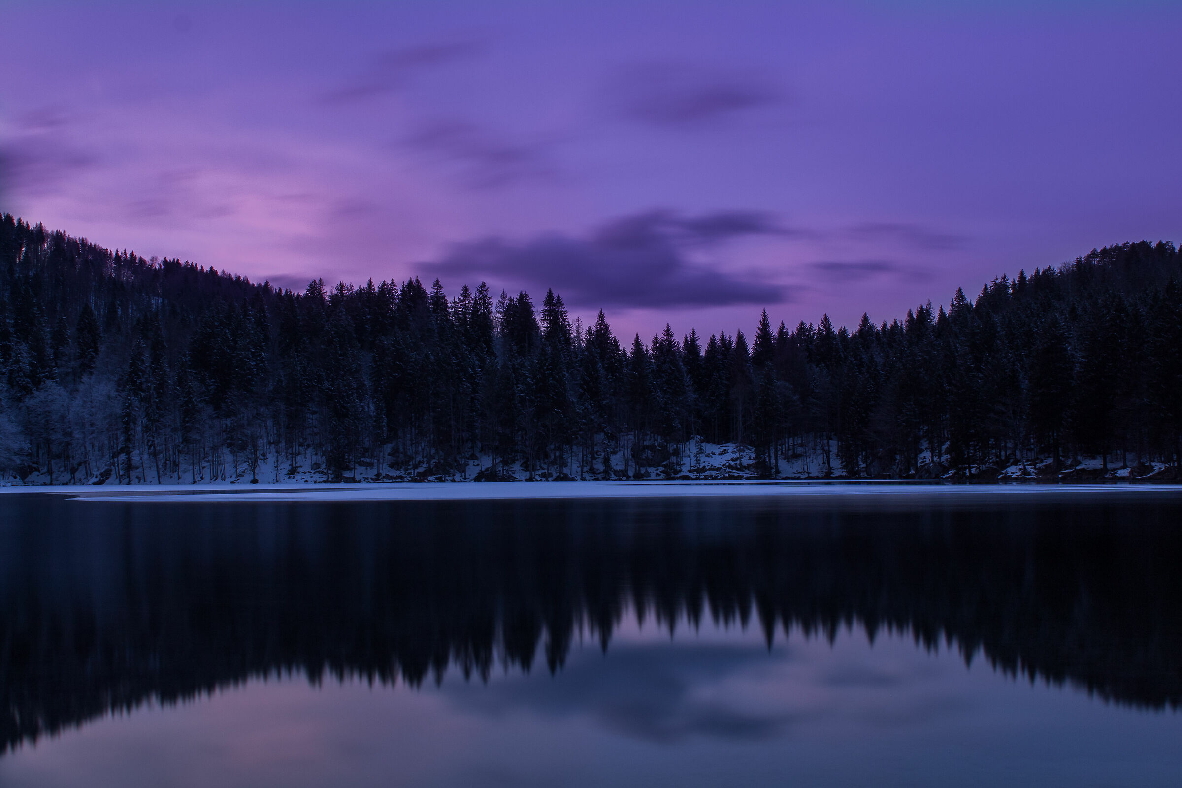 Winter Purple, New1001