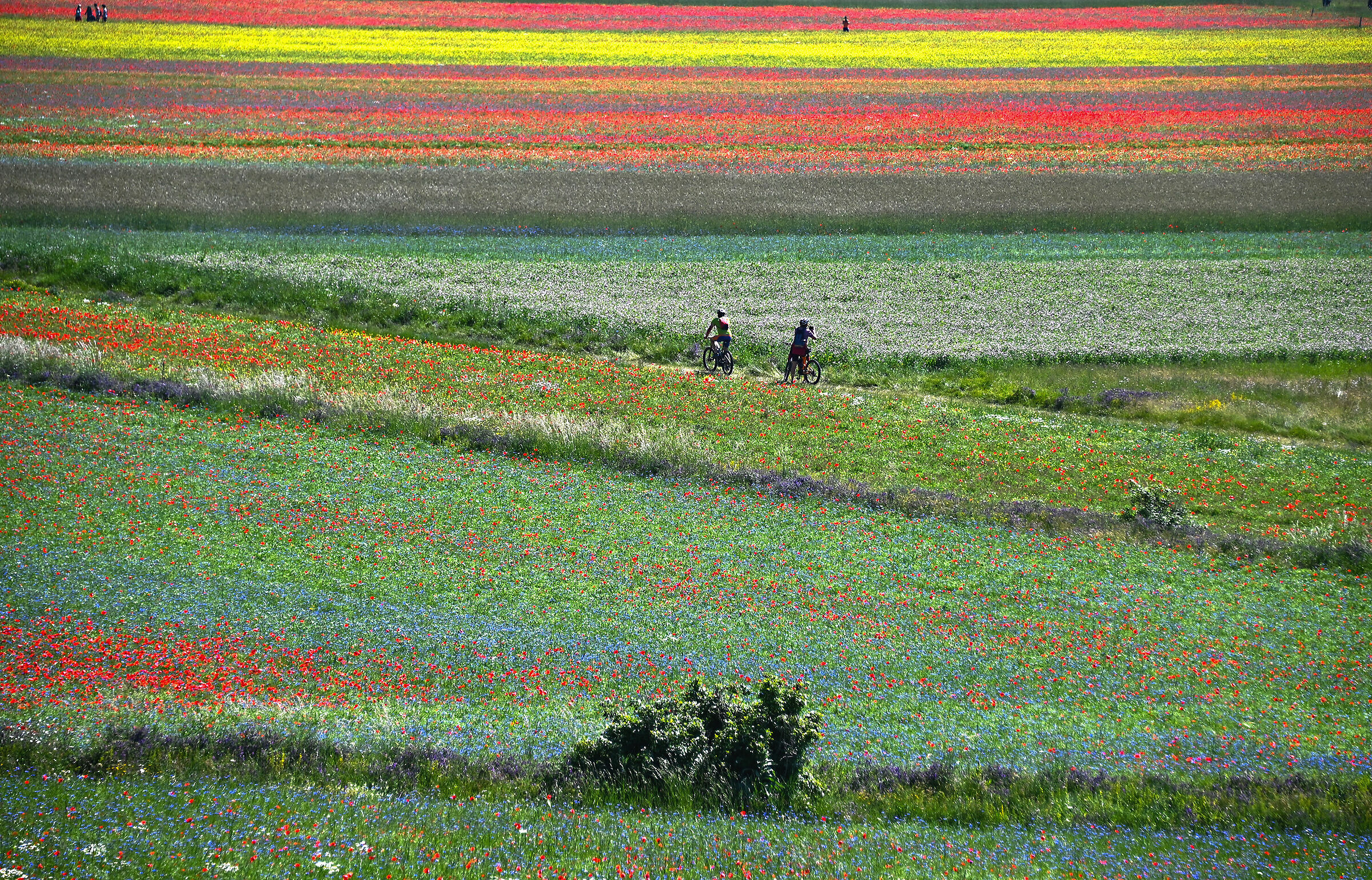 Castelluccio... on the road