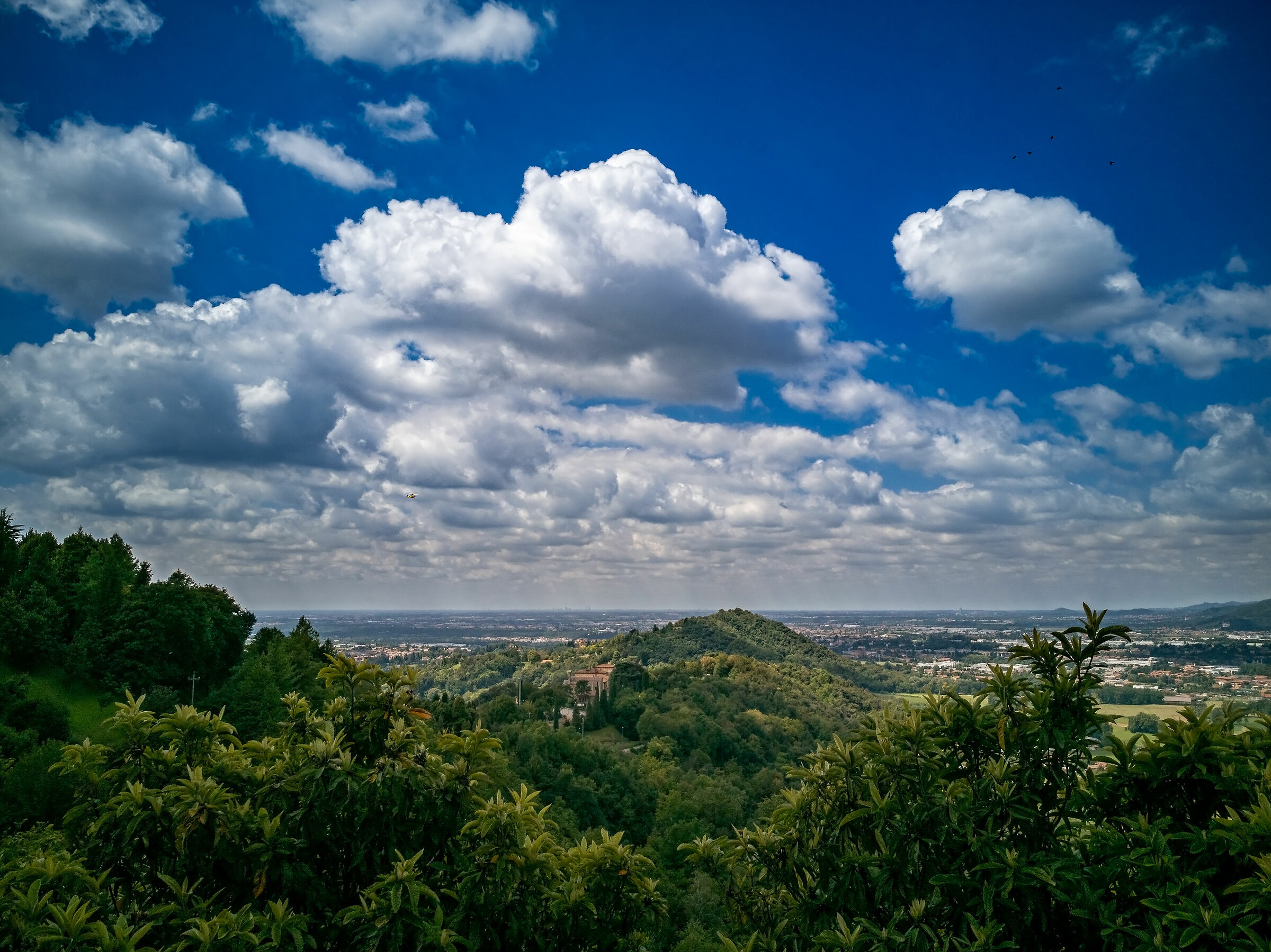 Colli_Plain to the West Park