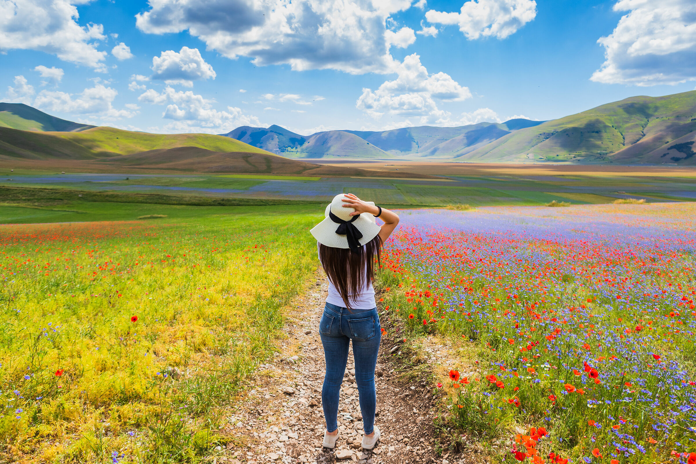 esplosione di colori