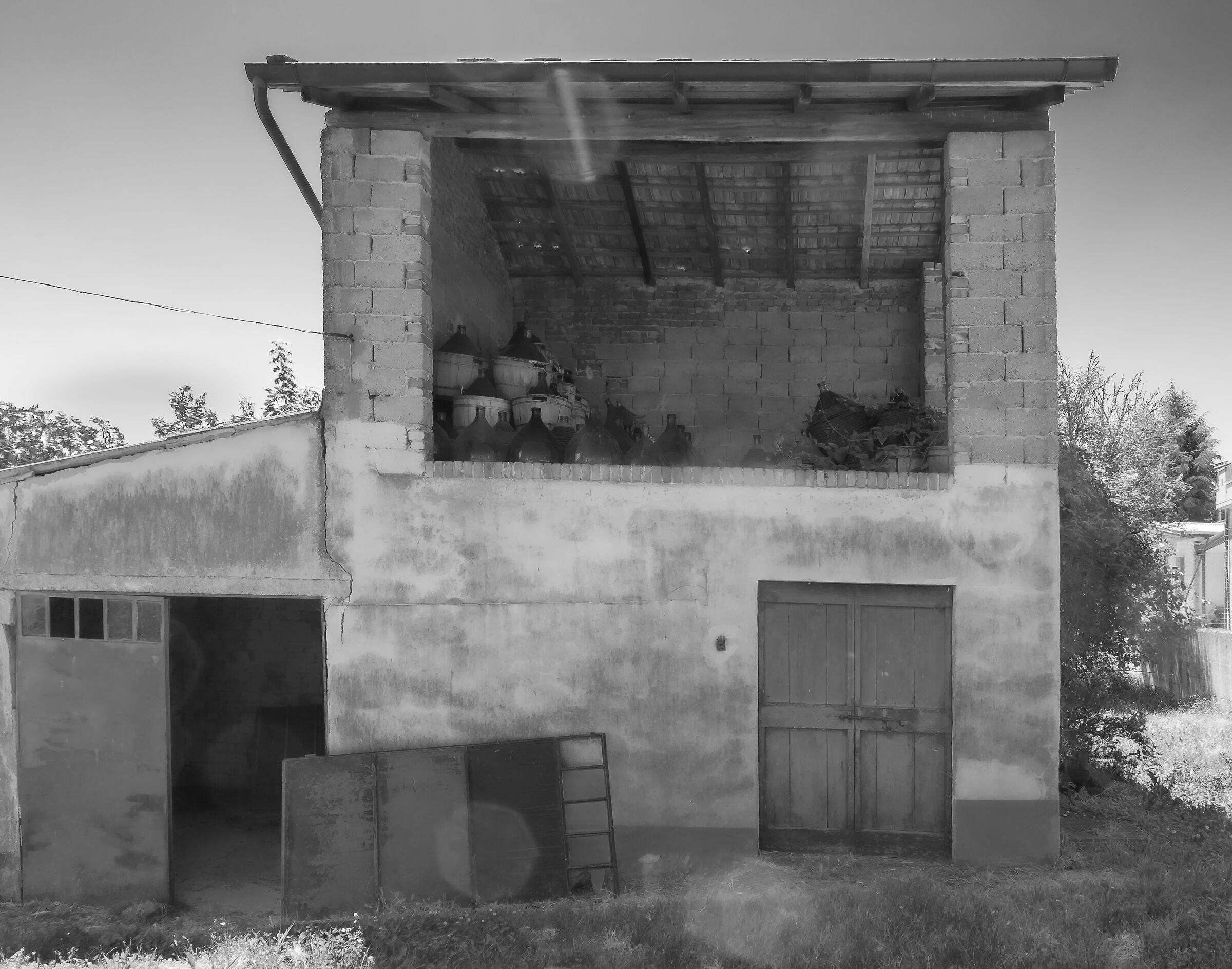 Waiting for harvest - Fuji X-A1