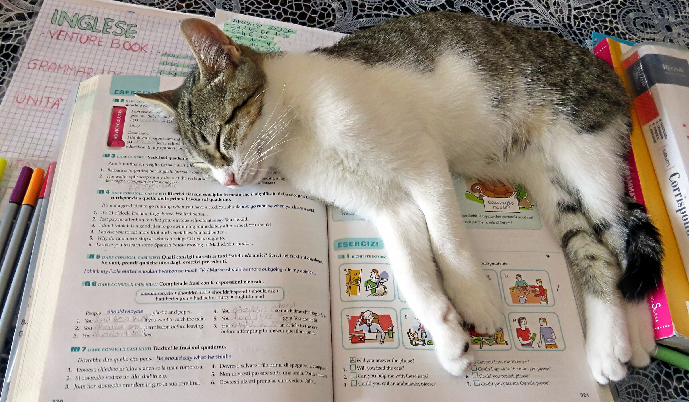 un valido compagno di studio