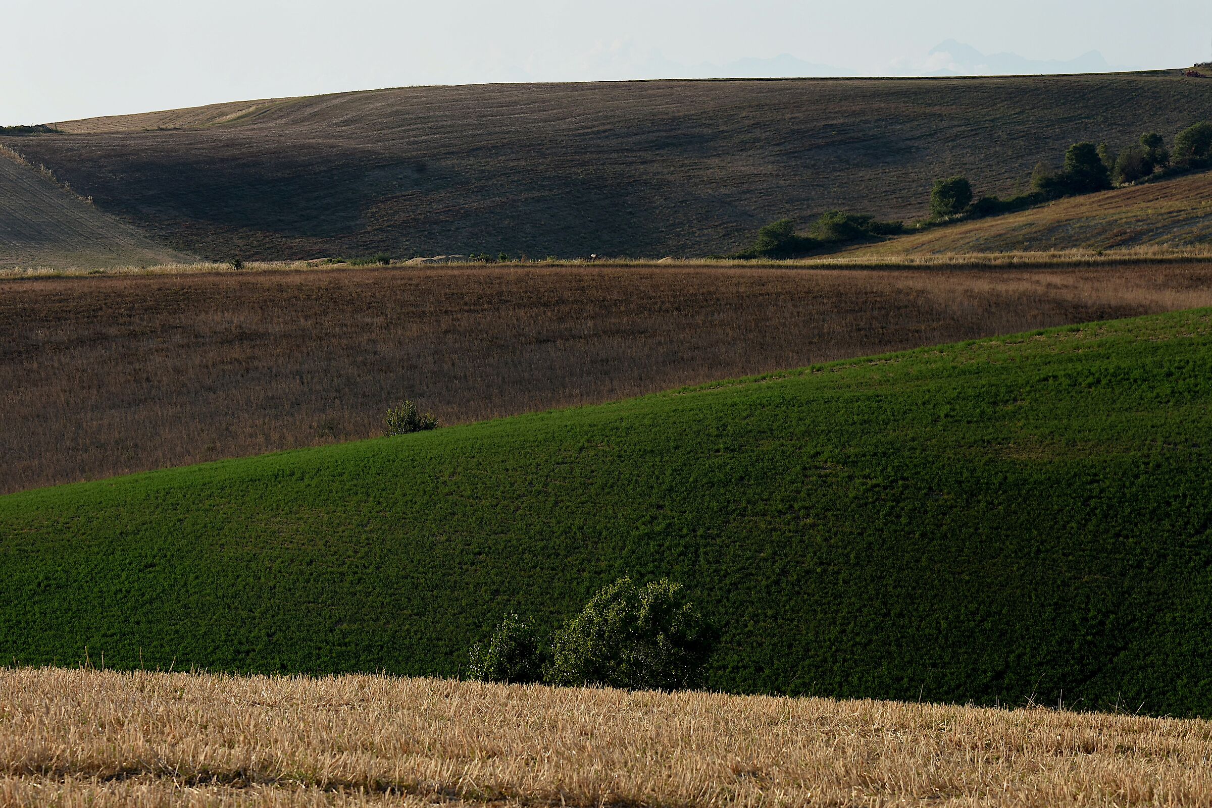 Si gioca a nascondino