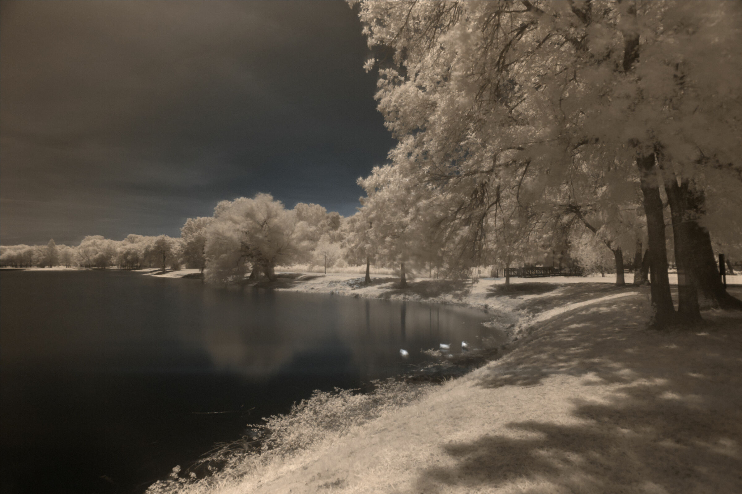 Towne Lake Park McKinney Texas, in Infrared