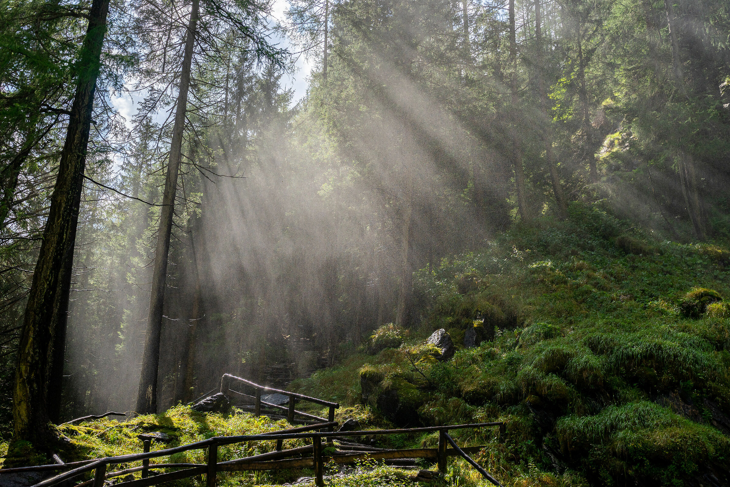 Saent - Val di Rabbi