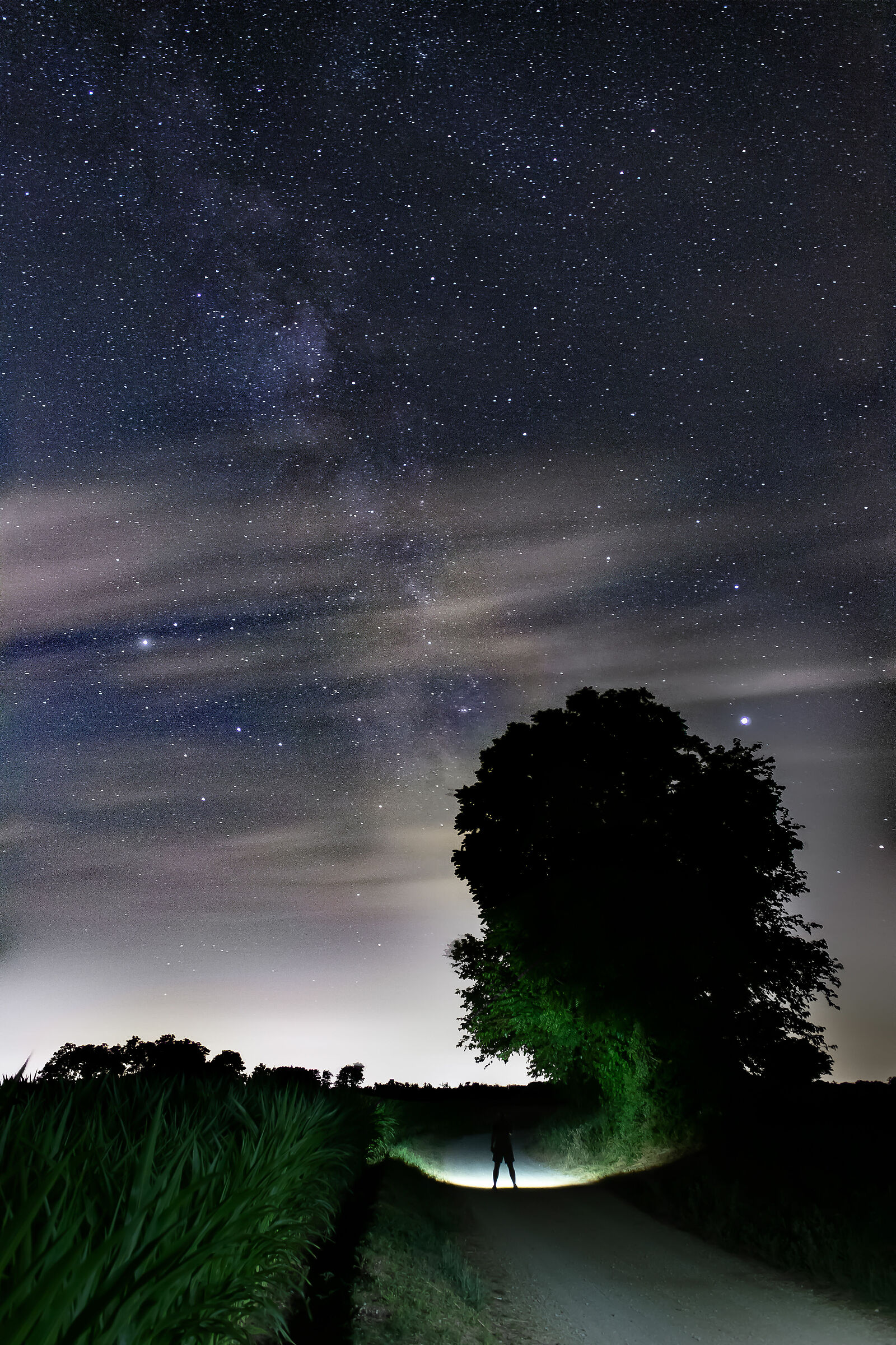 Looking for Stars