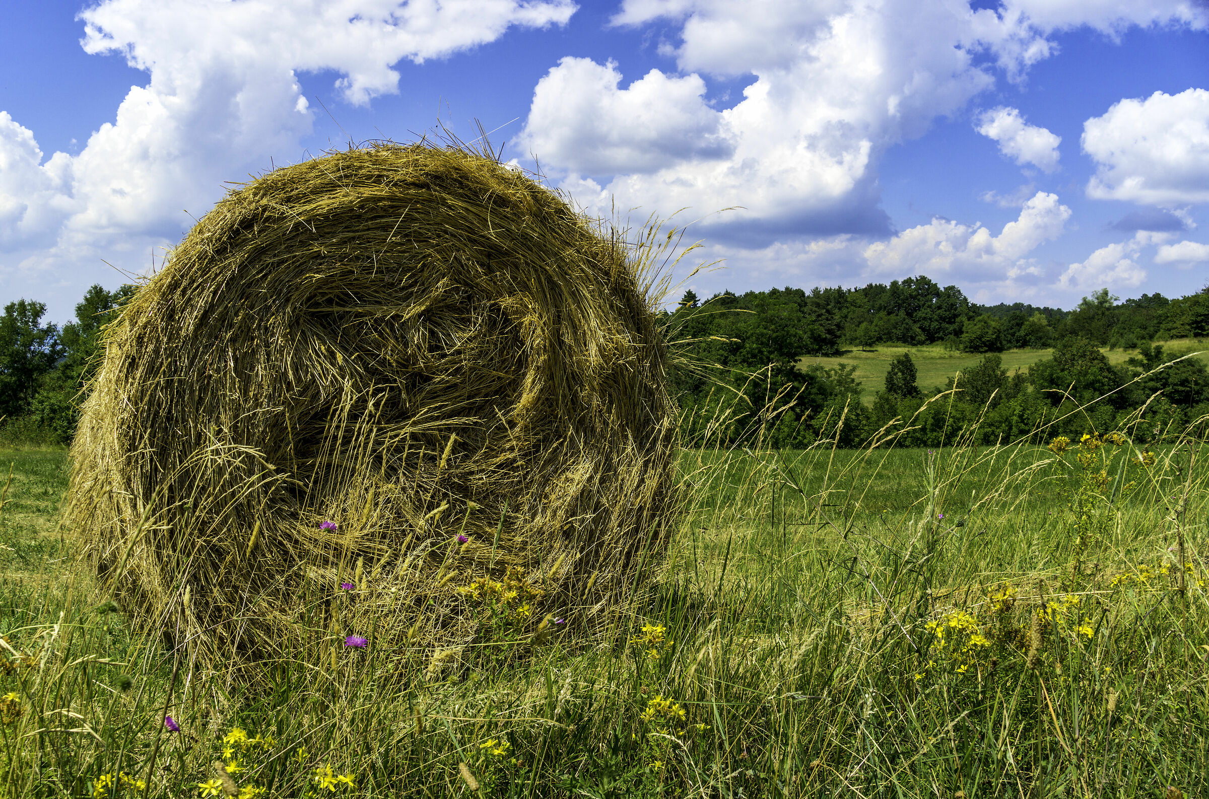 Rotoballa in the Sun