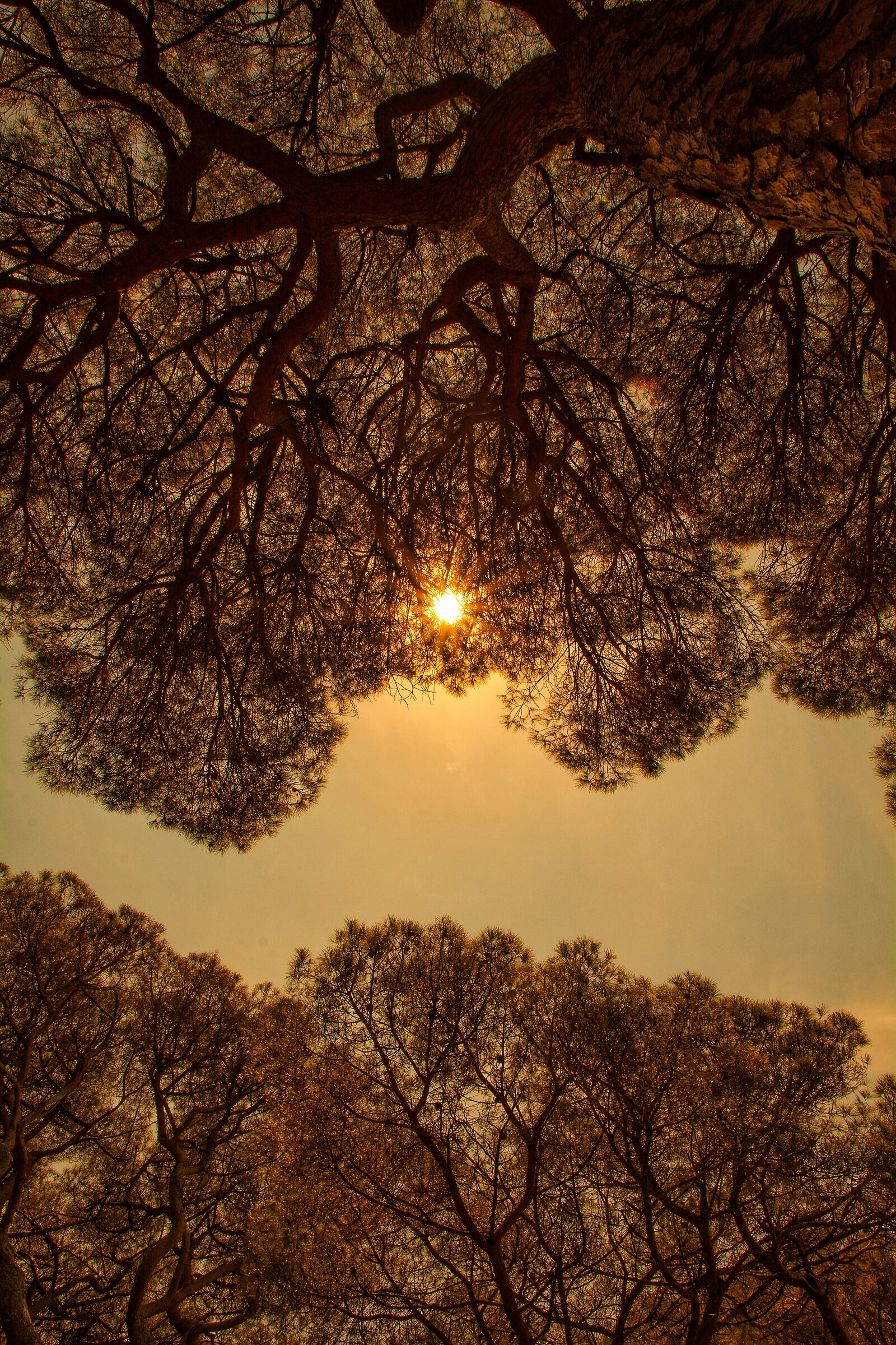 A volte, sogno di andarmene