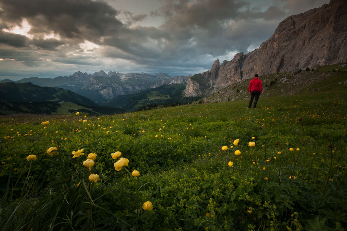 Dal Sella alle Odle ...