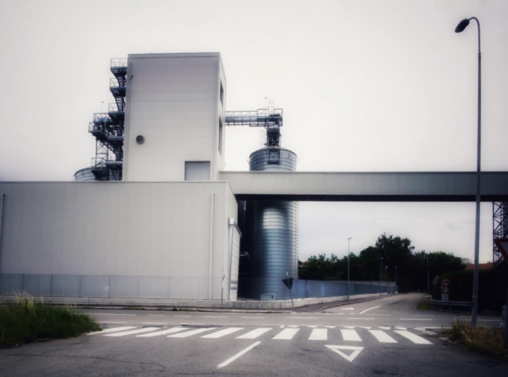 Untitled Photo