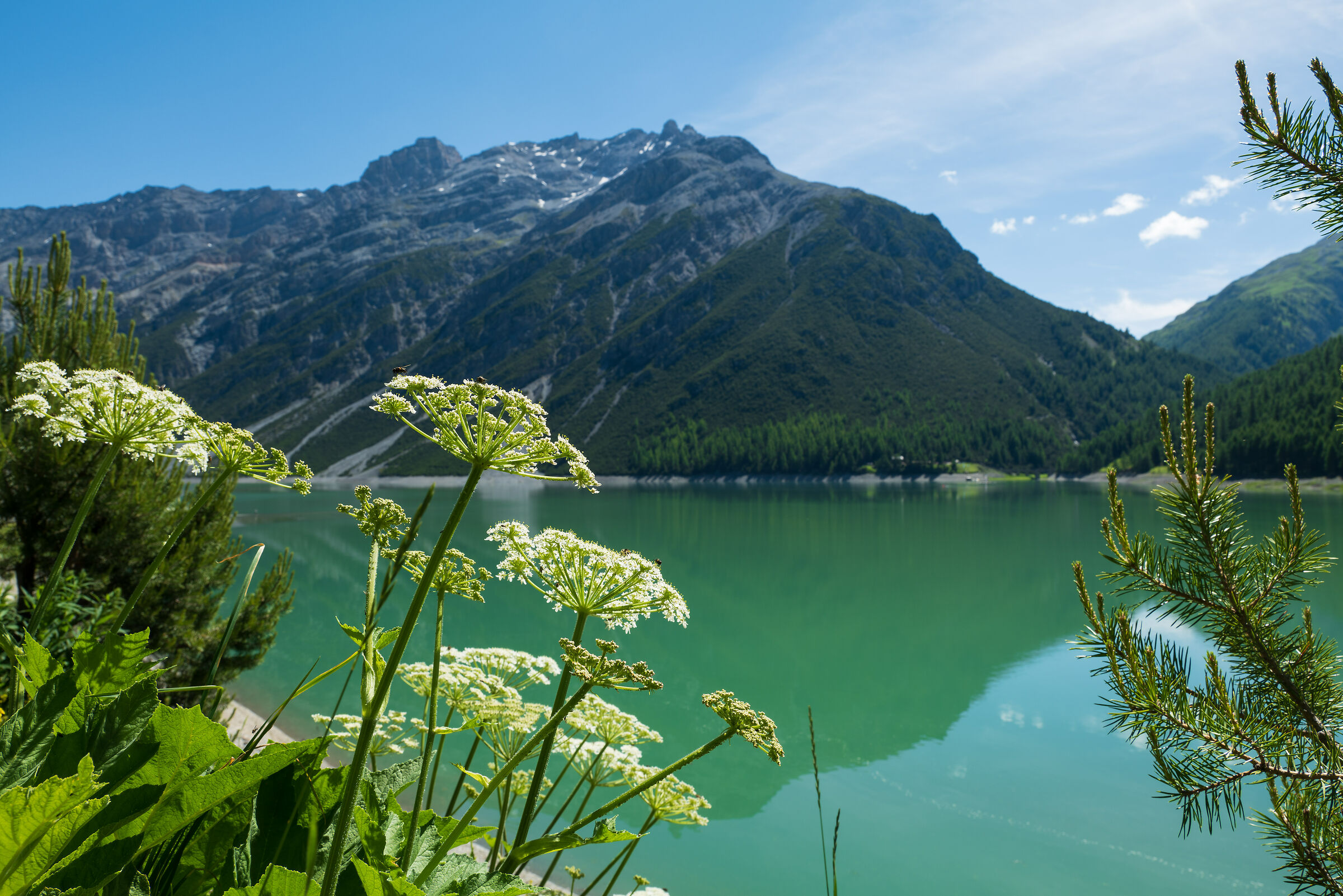 Lago di Livigno